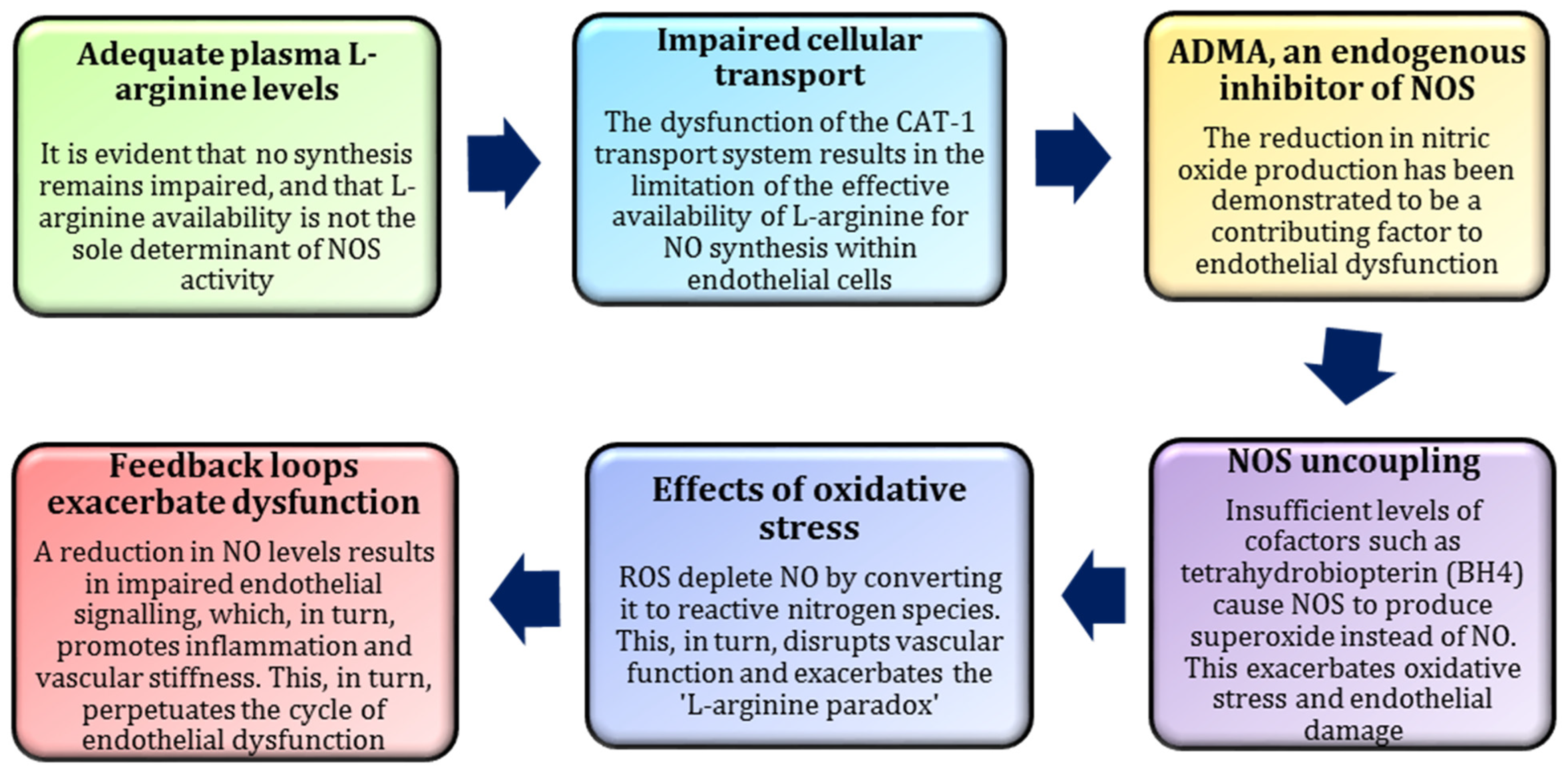 Nutrients 17 00665 g006