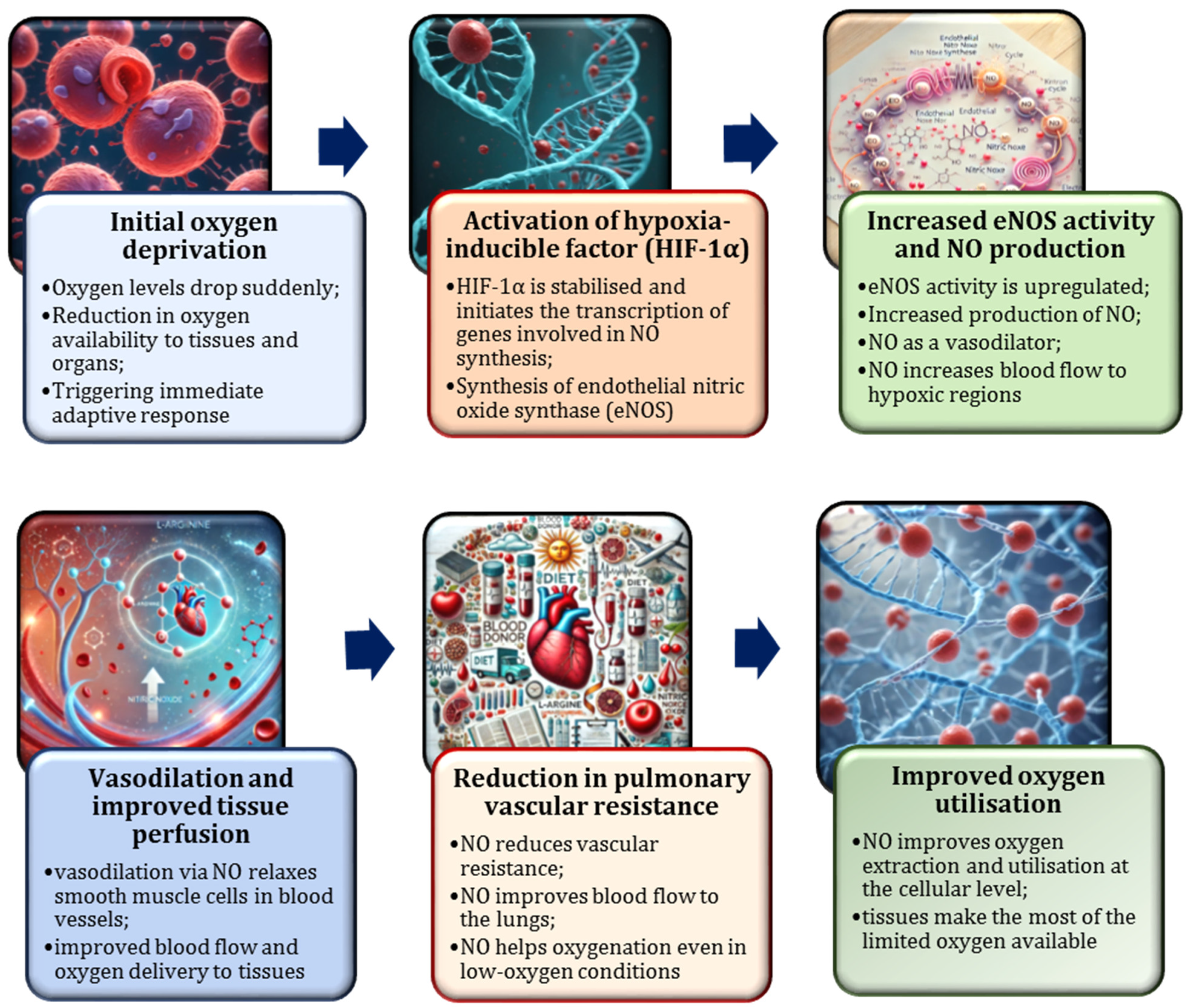 Nutrients 17 00665 g007
