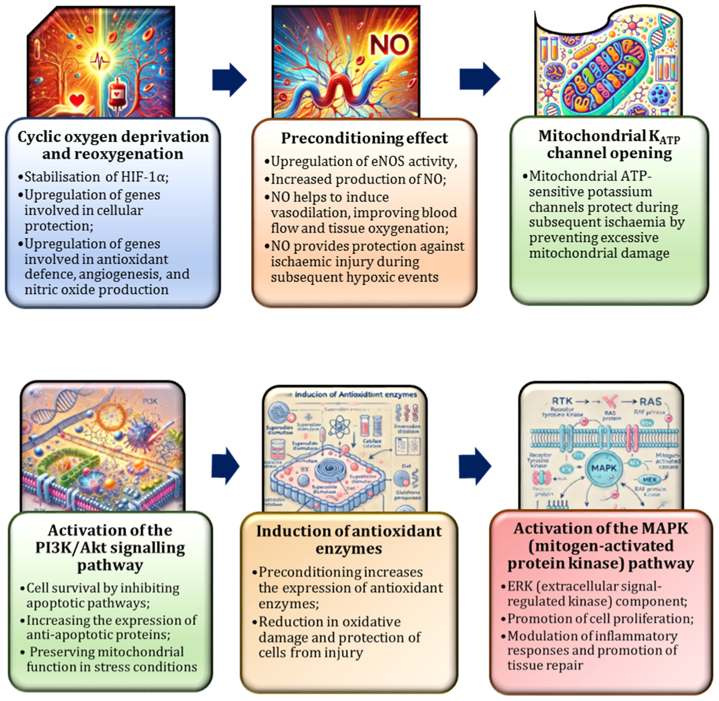 Nutrients 17 00665 g010