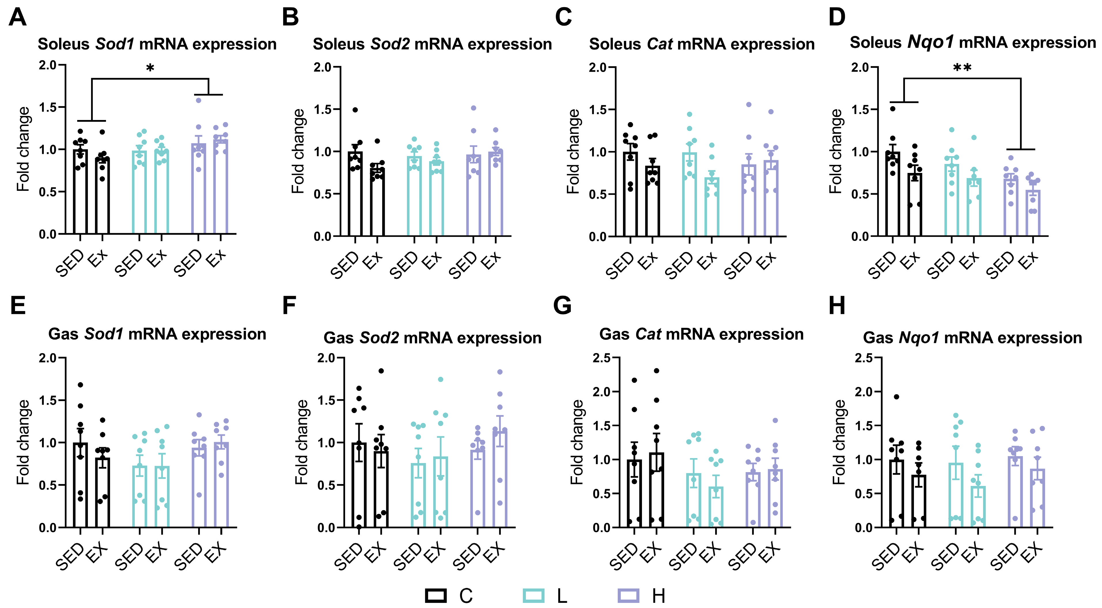 Nutrients 17 00668 g003 Nutrients 17 00668 g003