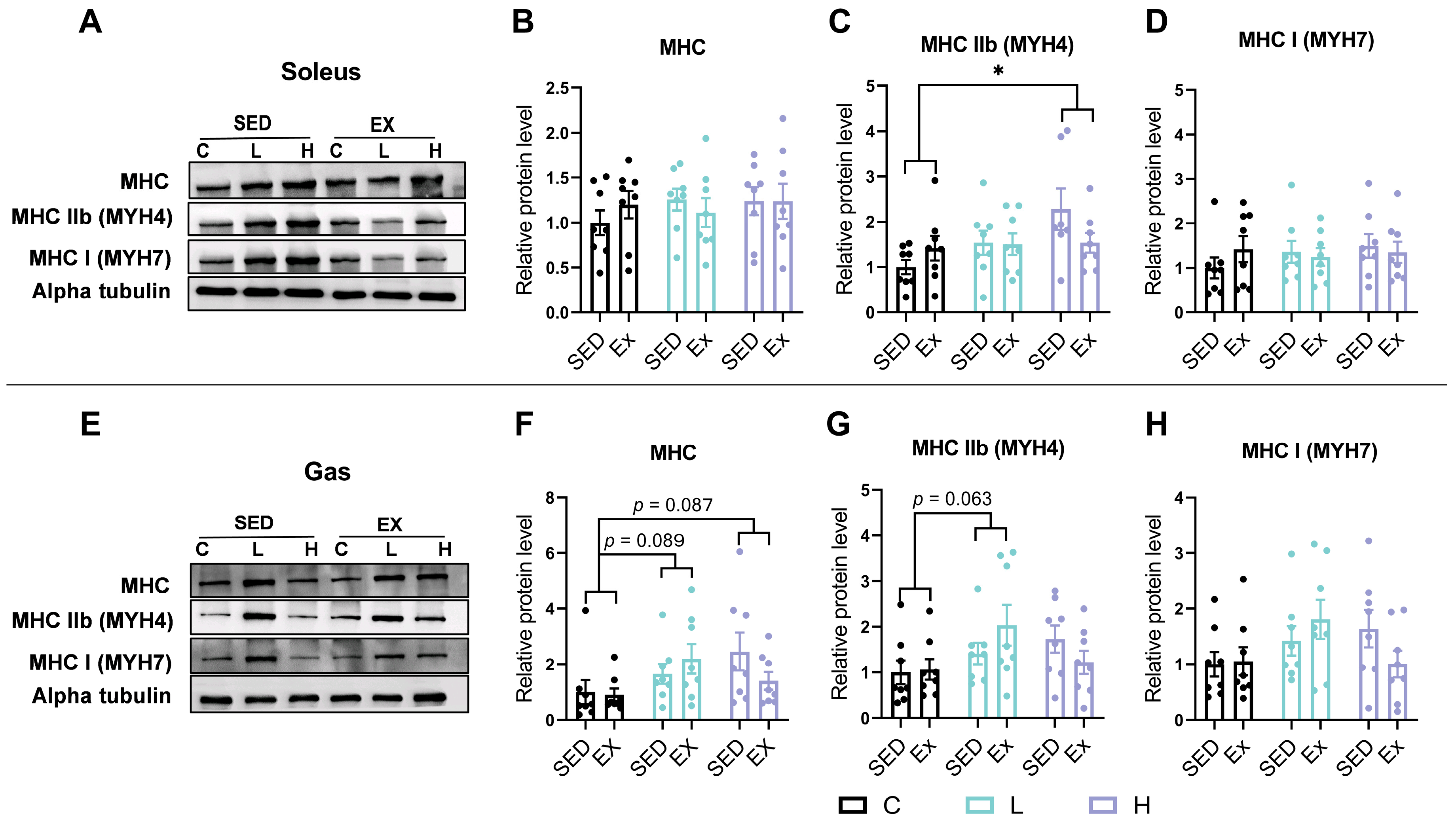 Nutrients 17 00668 g006 Nutrients 17 00668 g006