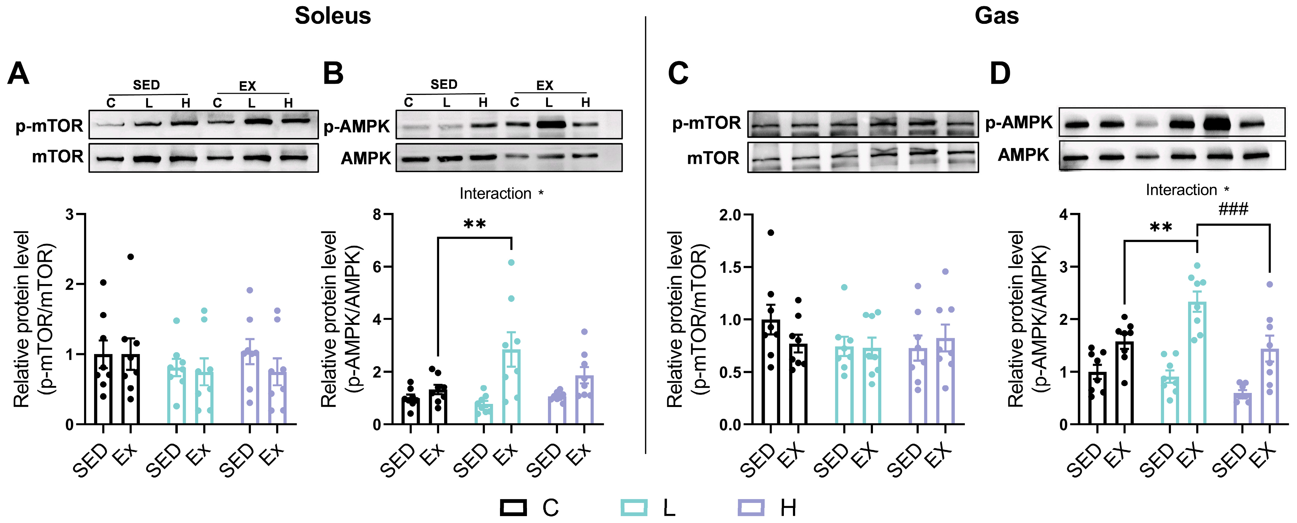 Nutrients 17 00668 g009 Nutrients 17 00668 g009