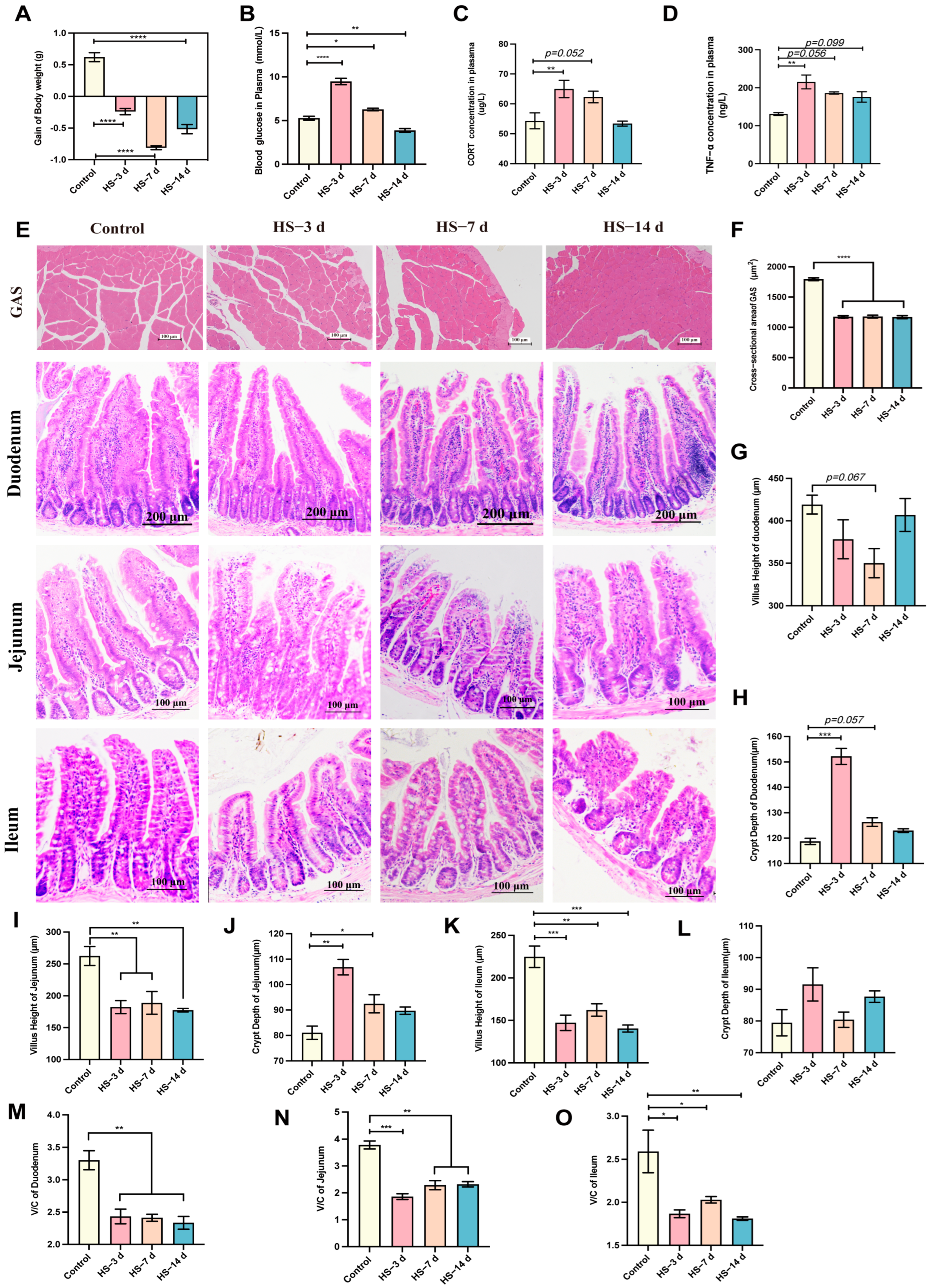 Nutrients 17 00696 g002