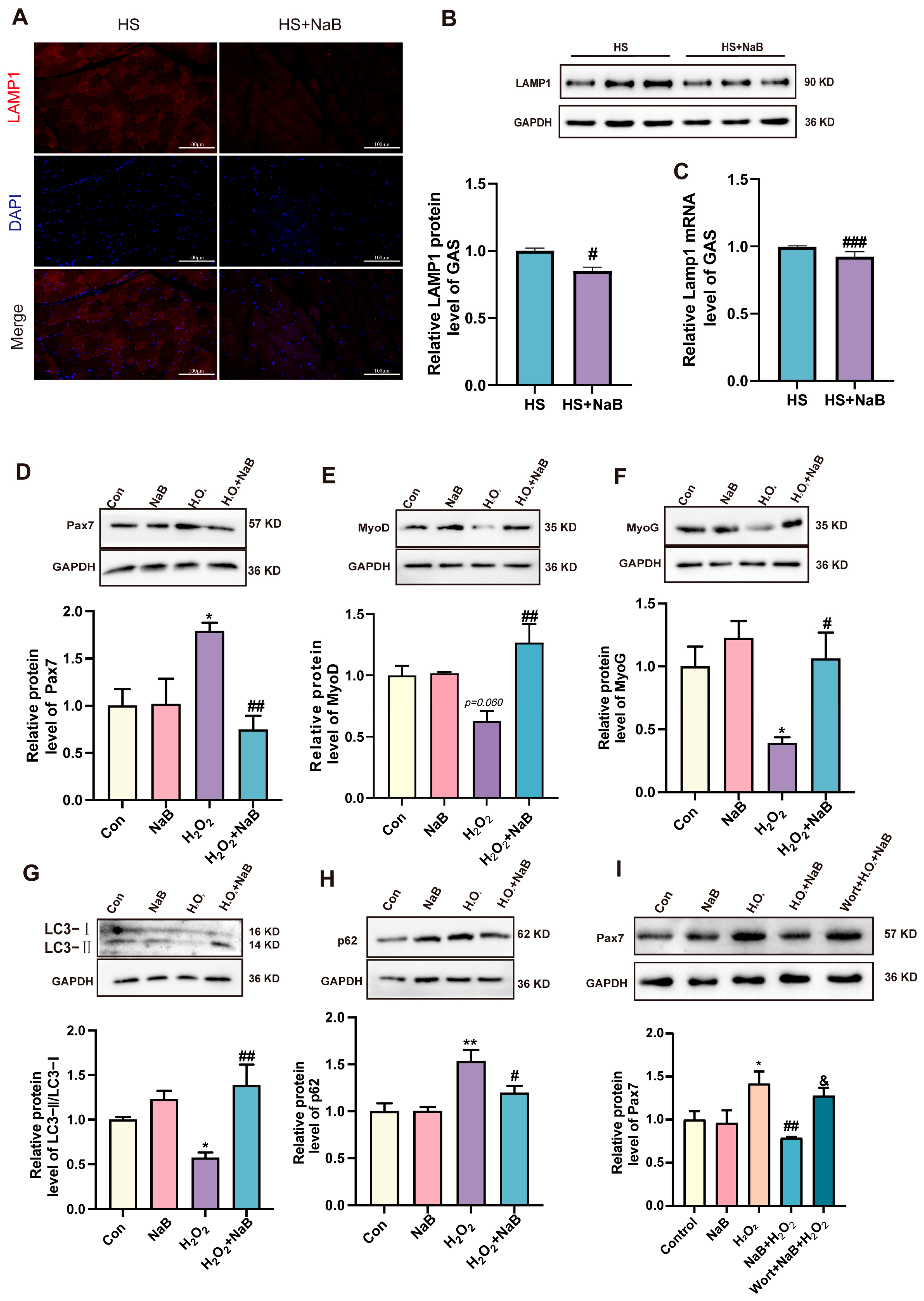 Nutrients 17 00696 g006