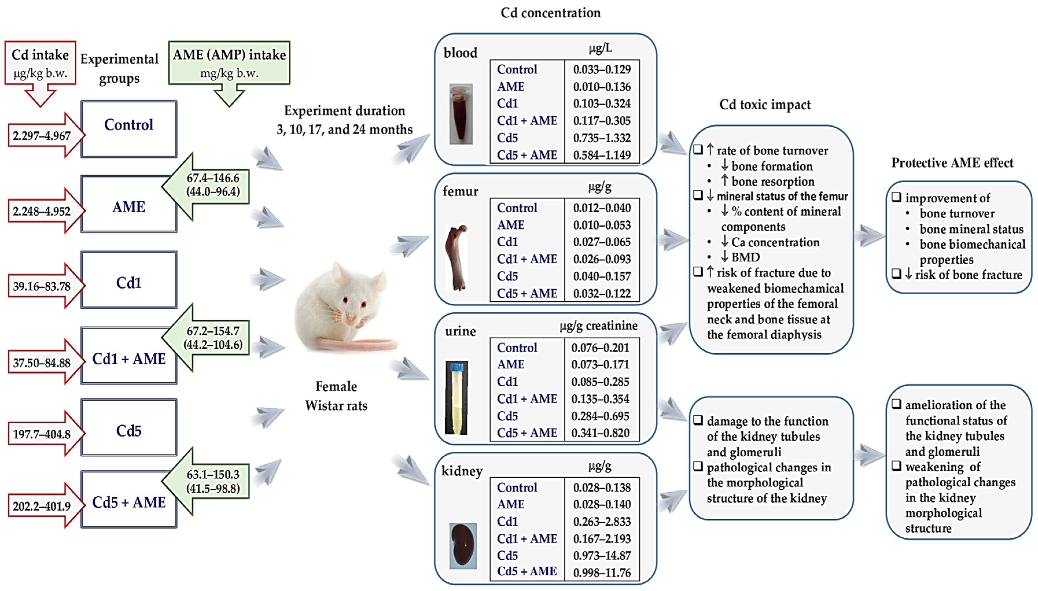 Nutrients 17 00702 g001