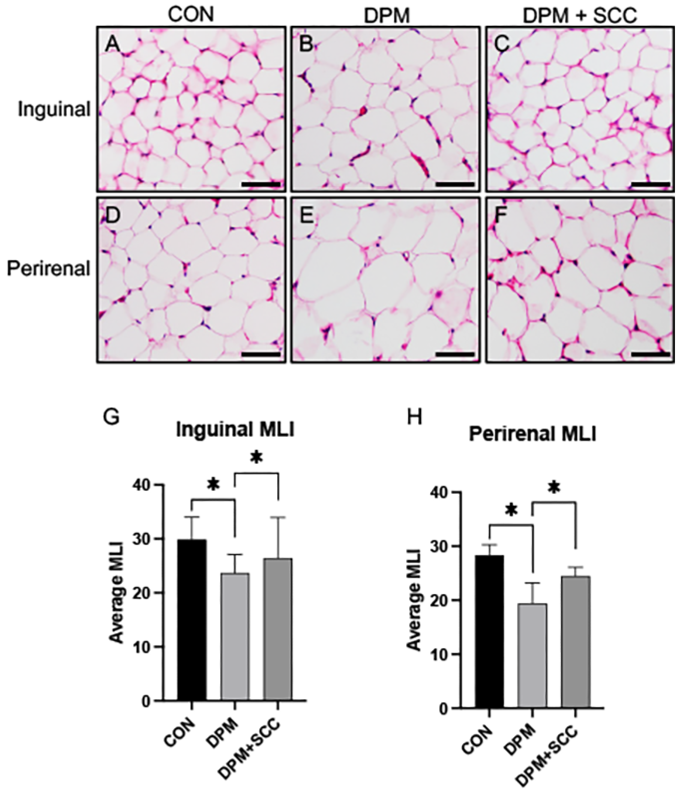 Nutrients 17 00717 g004 Nutrients 17 00717 g004