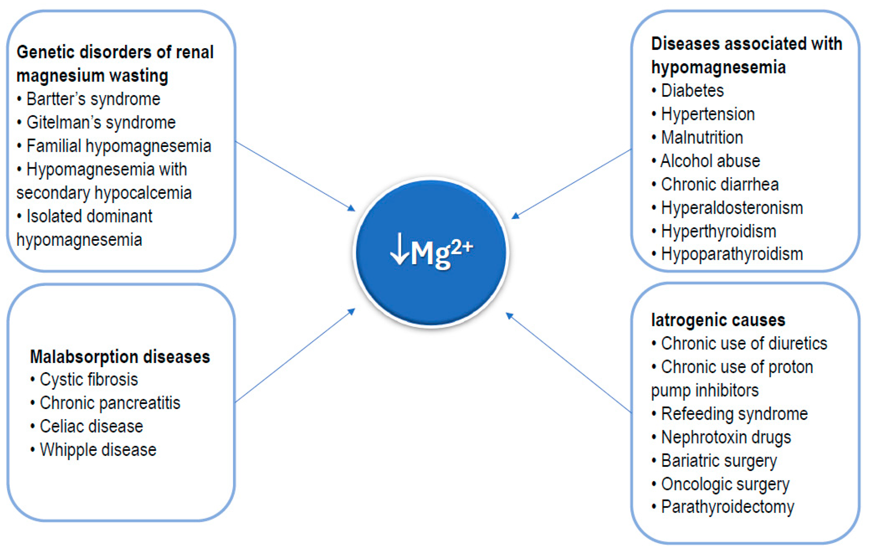 Nutrients 17 00725 g004