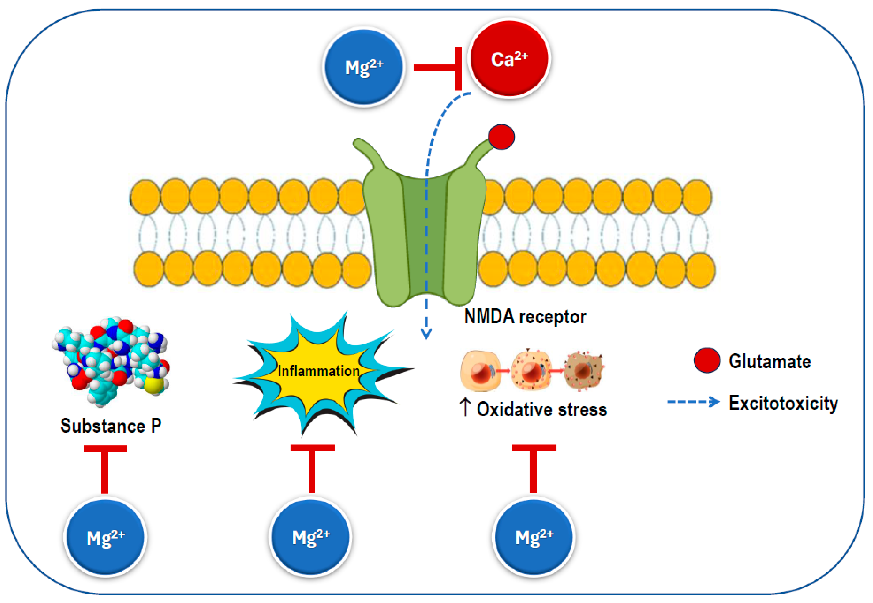 Nutrients 17 00725 g006