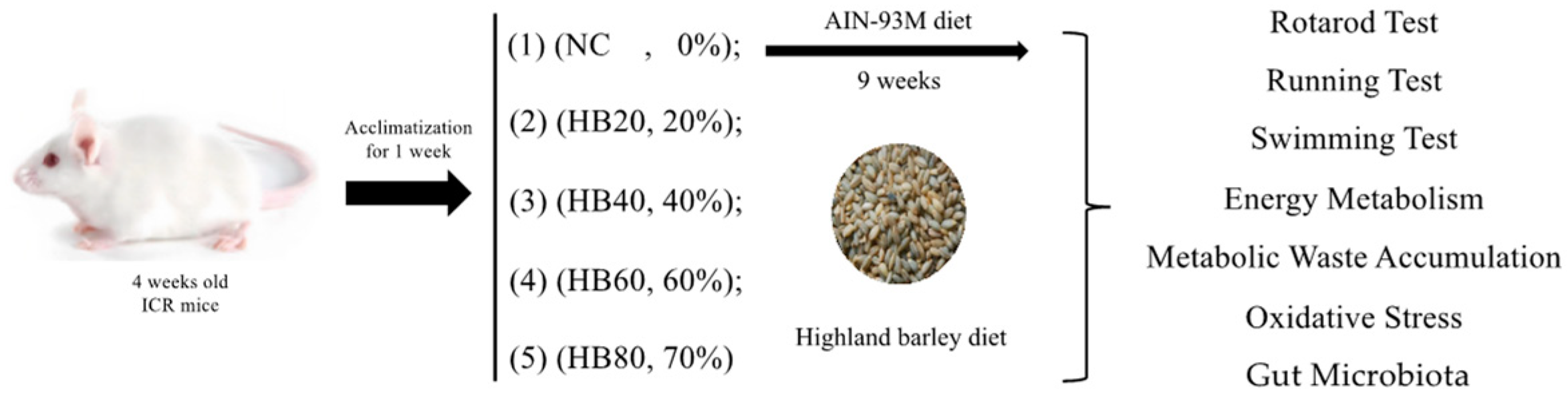 Nutrients 17 00733 g001