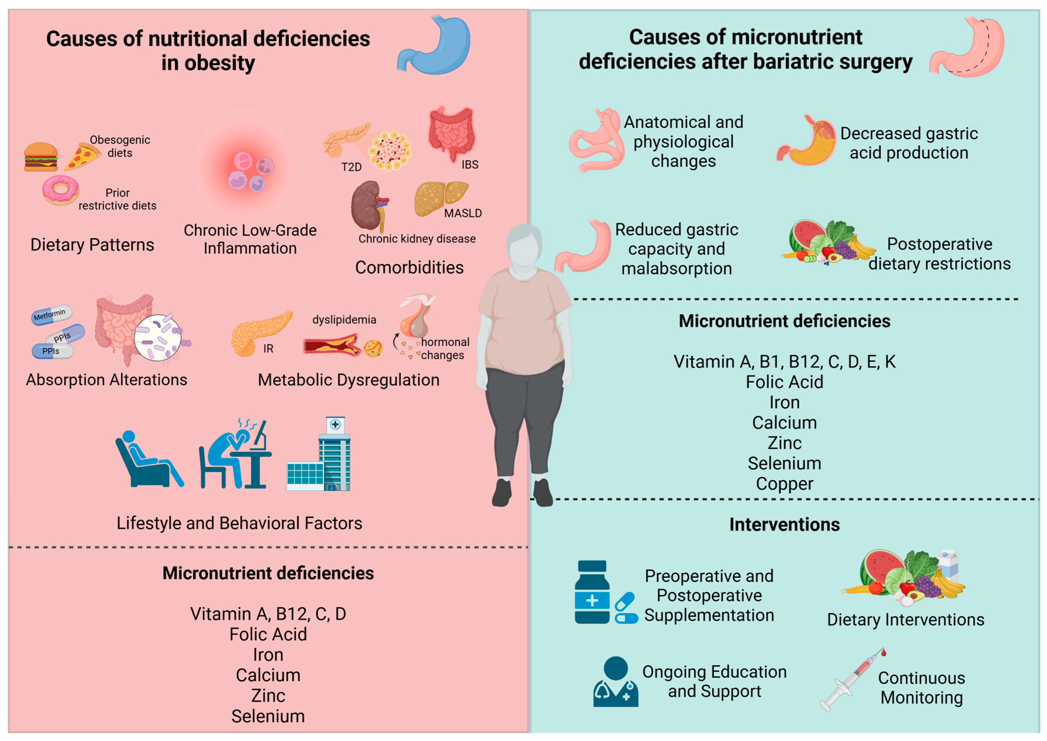 Nutrients 17 00741 g001 Nutrients 17 00741 g001