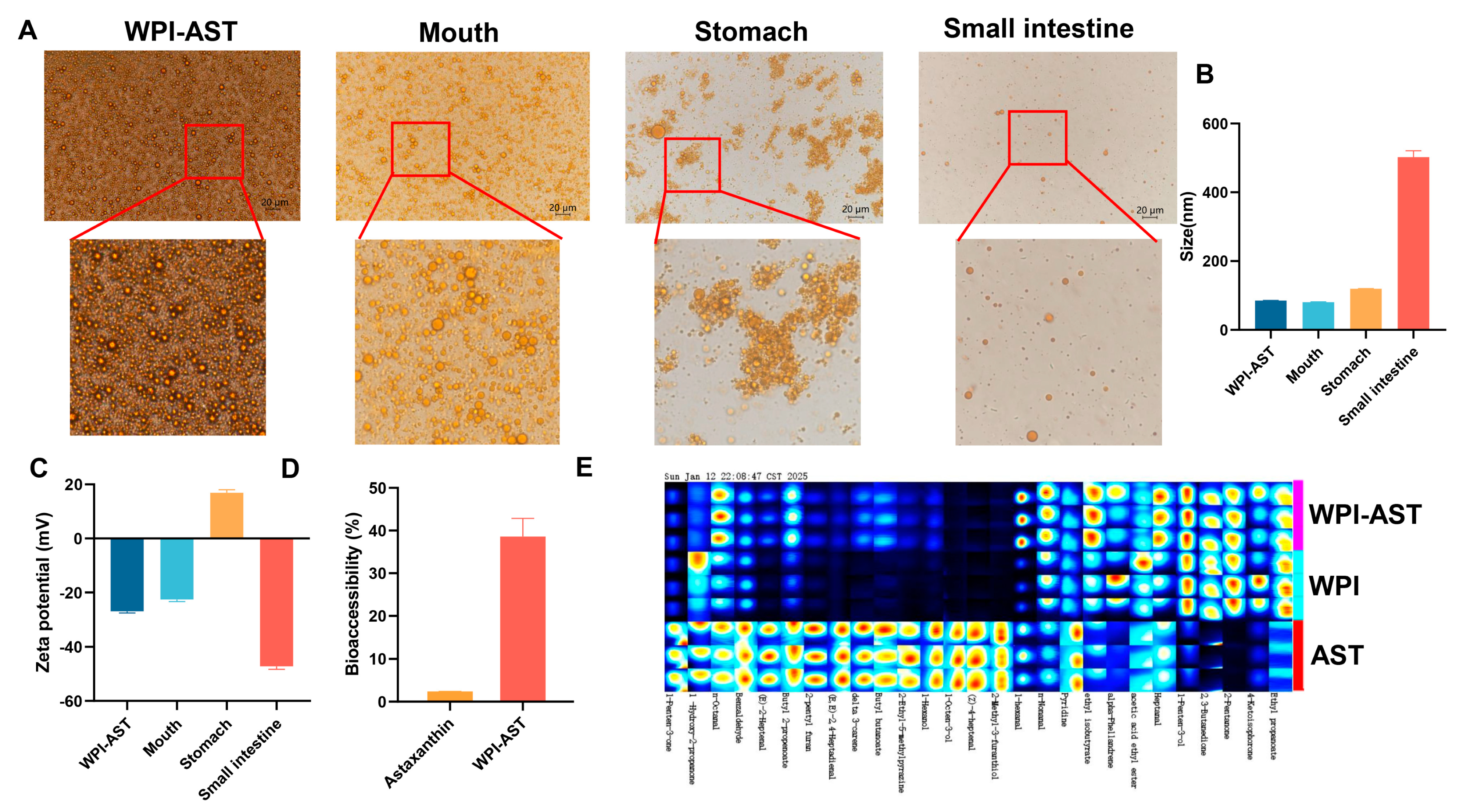 Nutrients 17 00750 g004