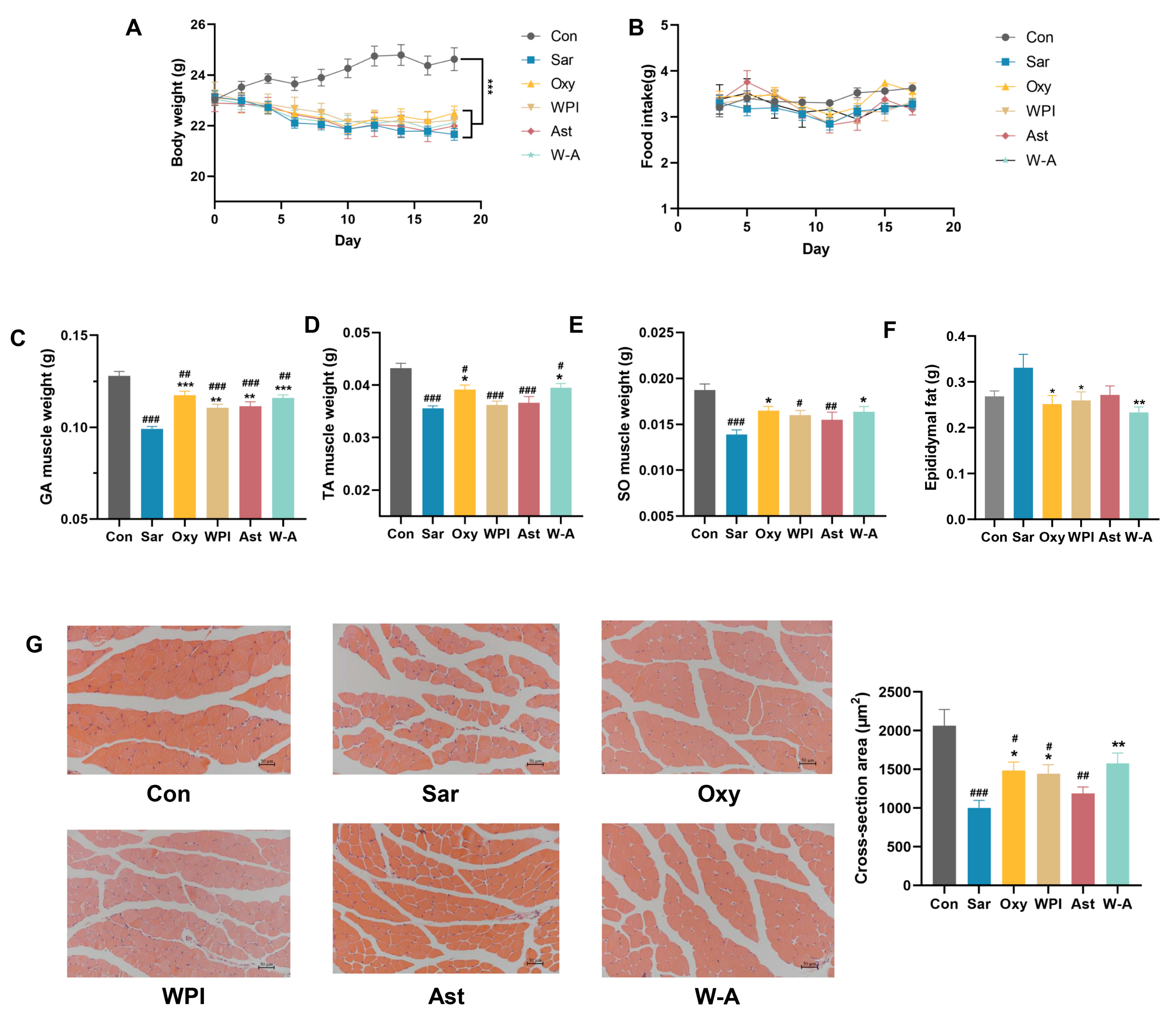 Nutrients 17 00750 g005