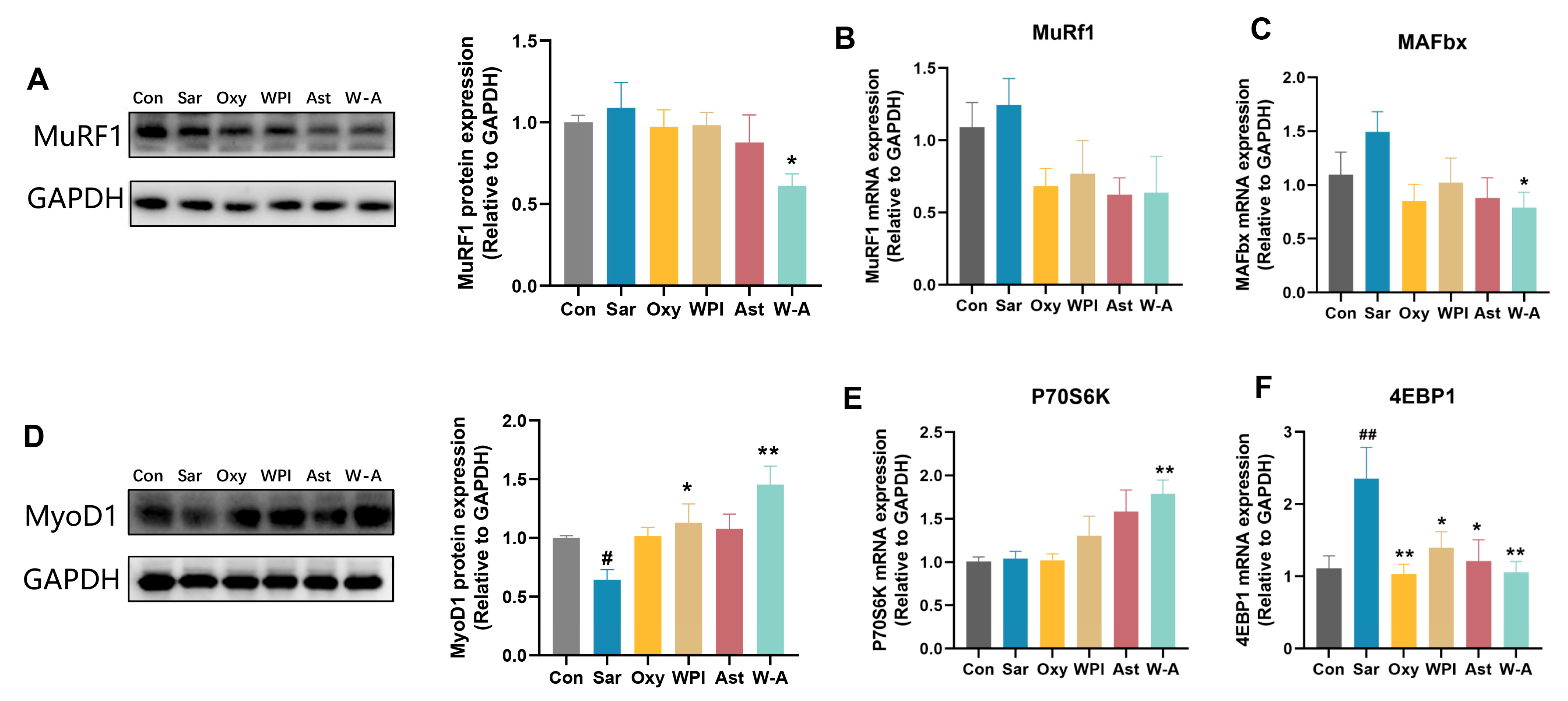 Nutrients 17 00750 g006