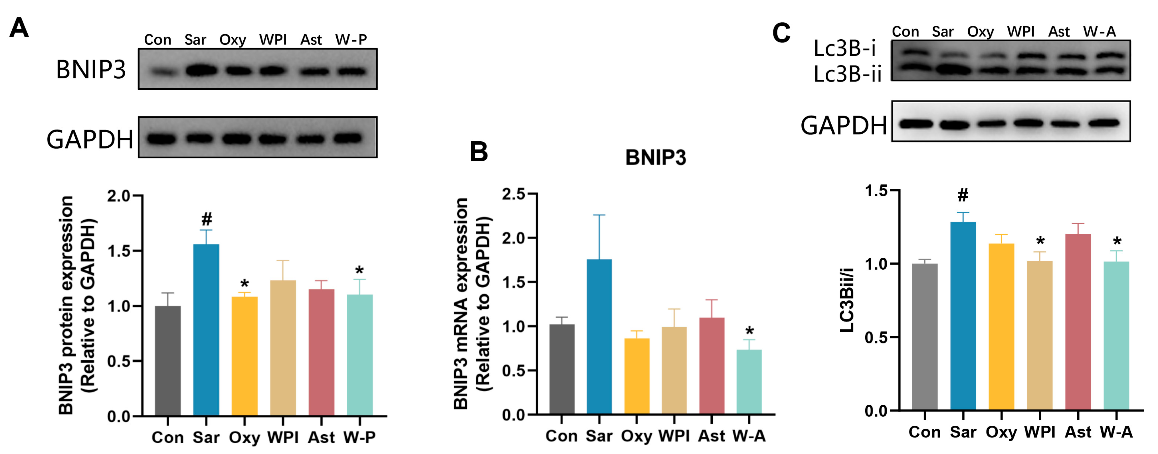 Nutrients 17 00750 g007