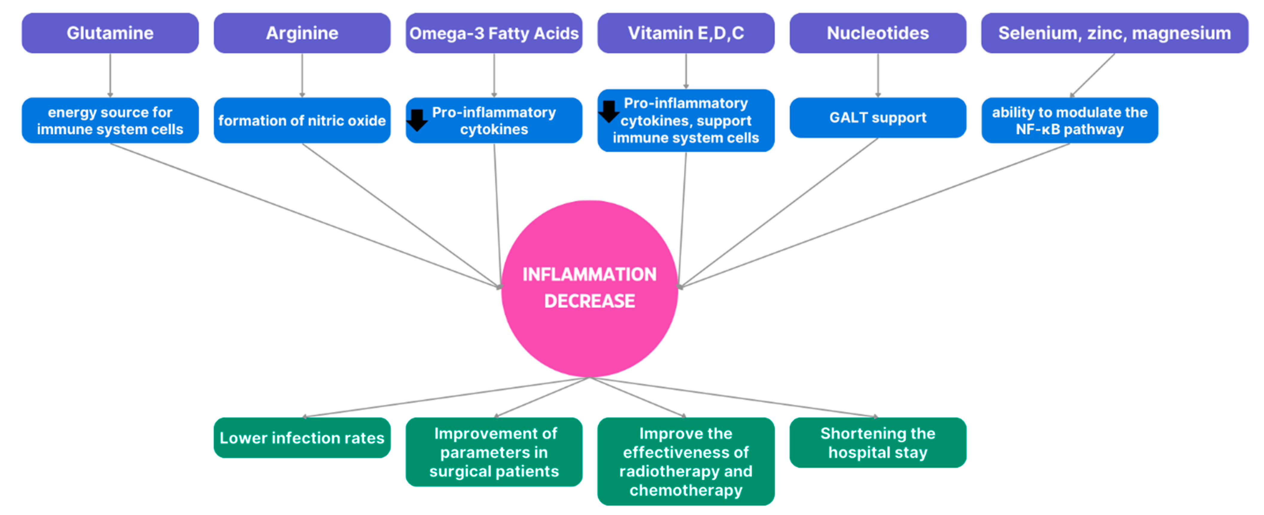 Nutrients 17 00752 g002