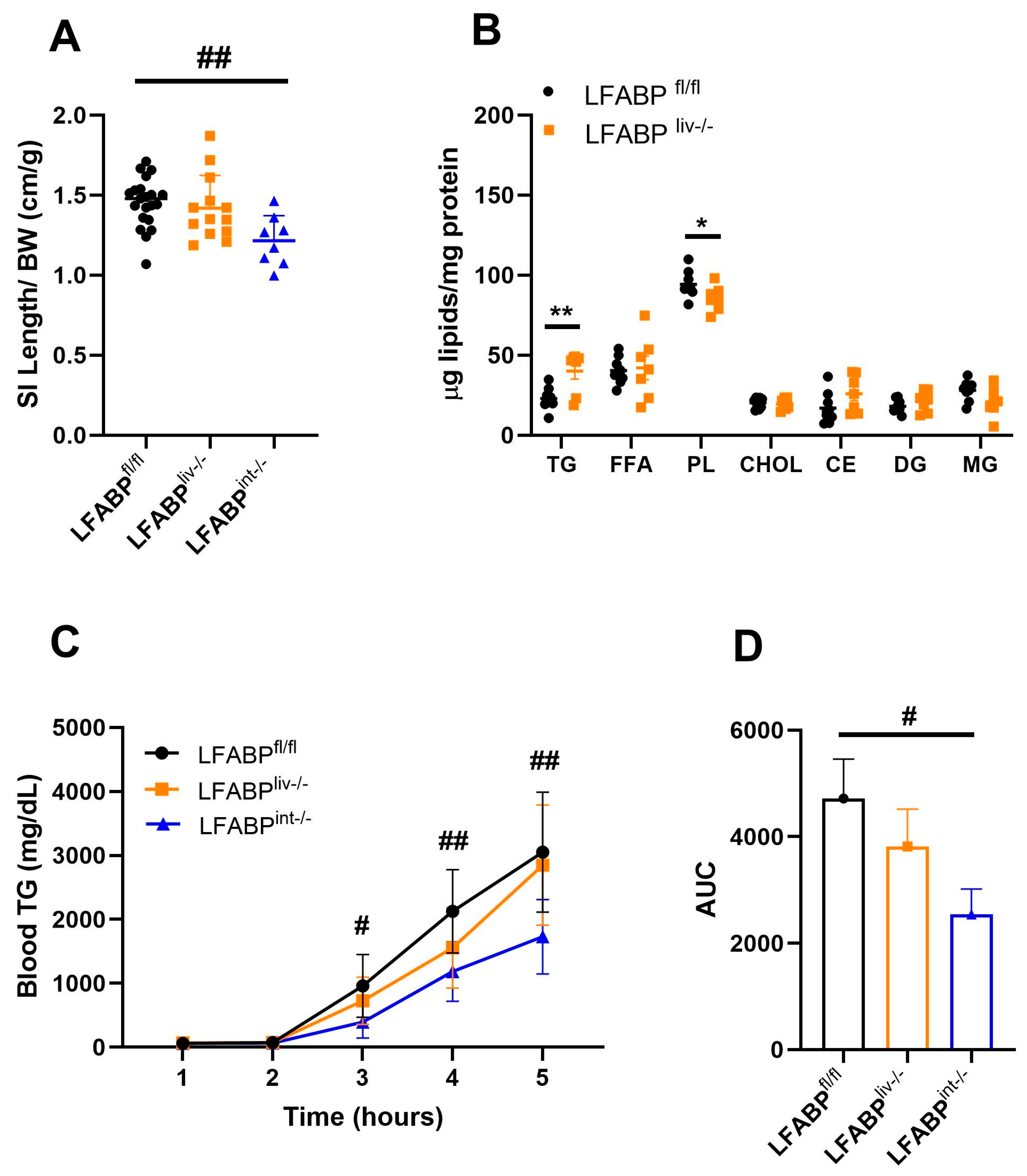 Nutrients 17 00753 g008 Nutrients 17 00753 g008