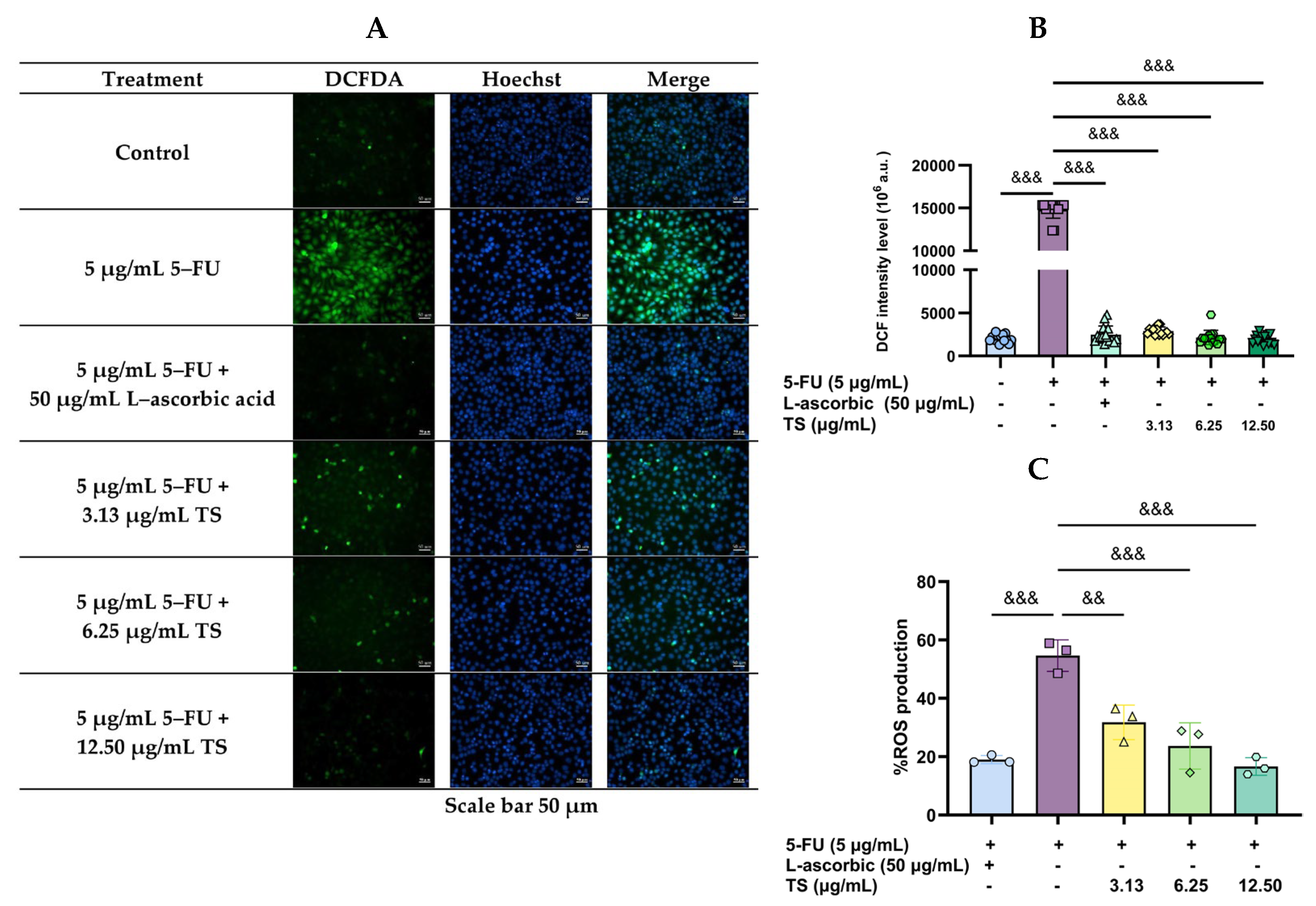 Nutrients 17 00764 g002