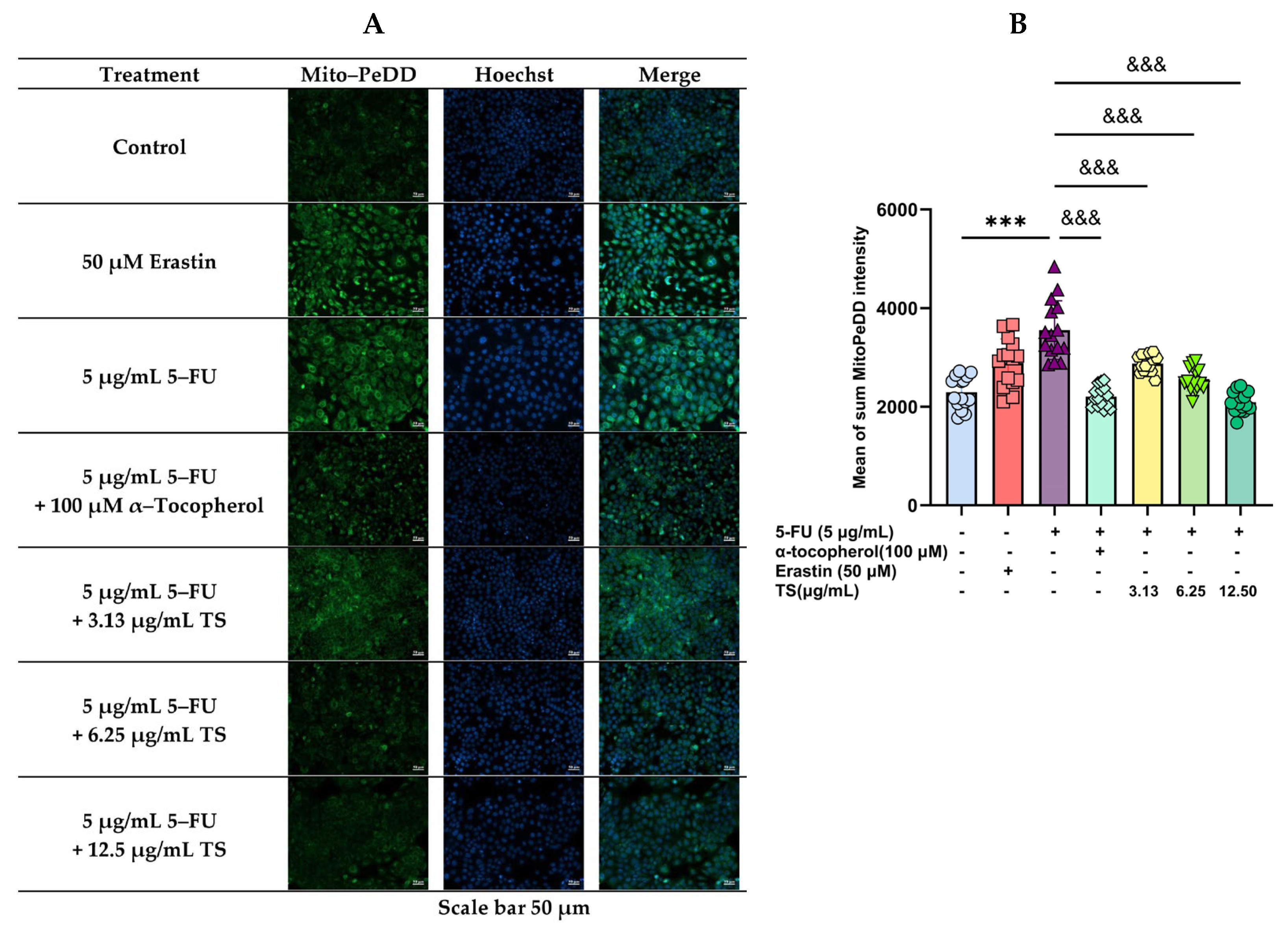 Nutrients 17 00764 g004