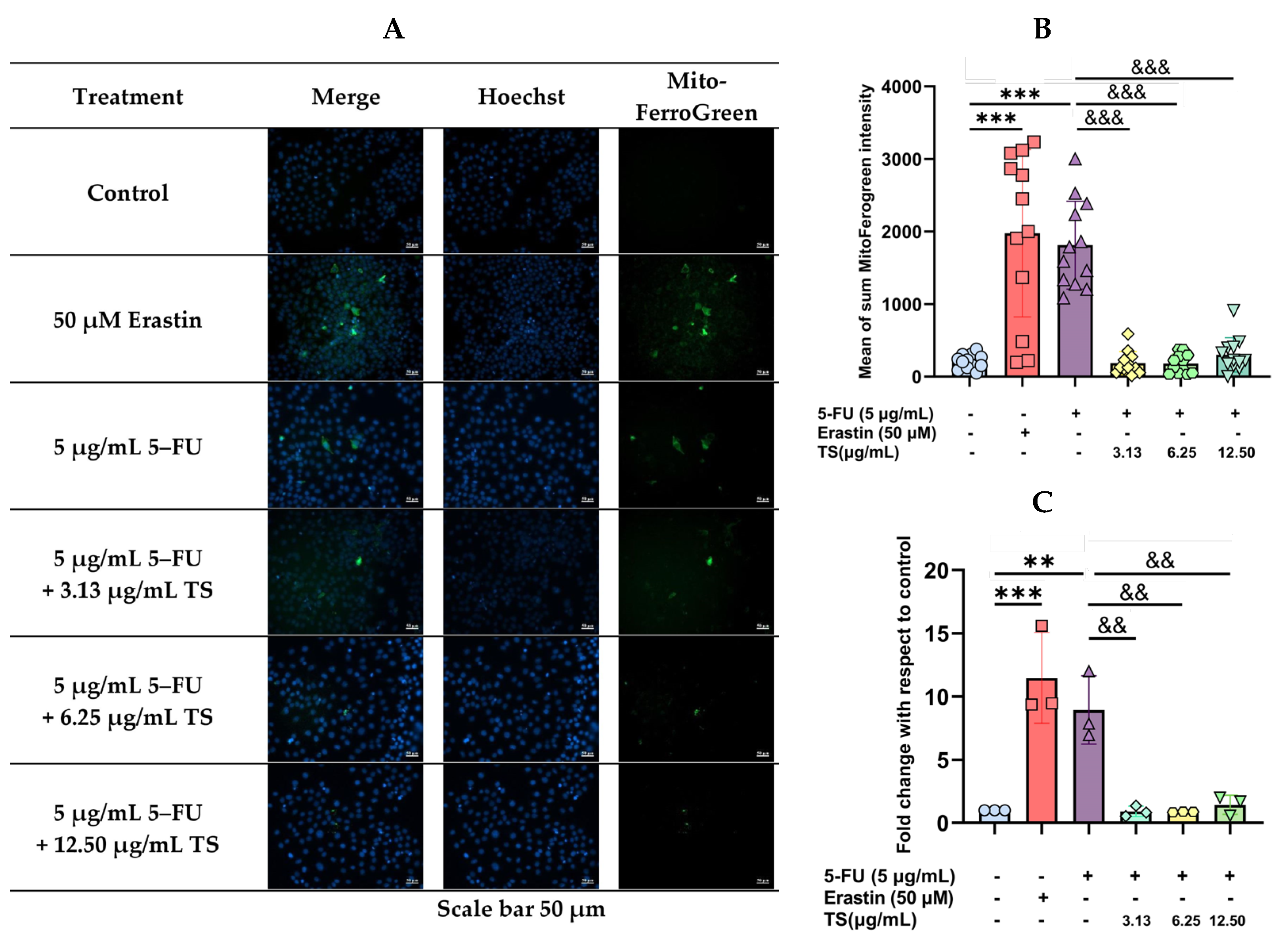 Nutrients 17 00764 g006