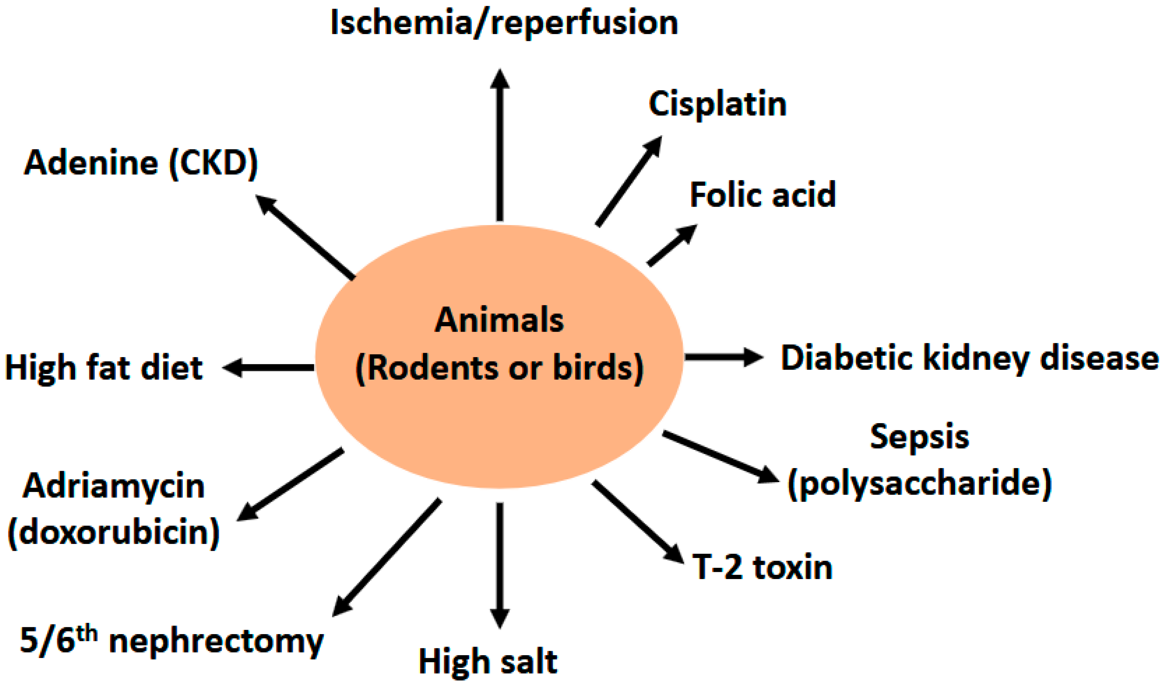 Nutrients 17 00772 g002