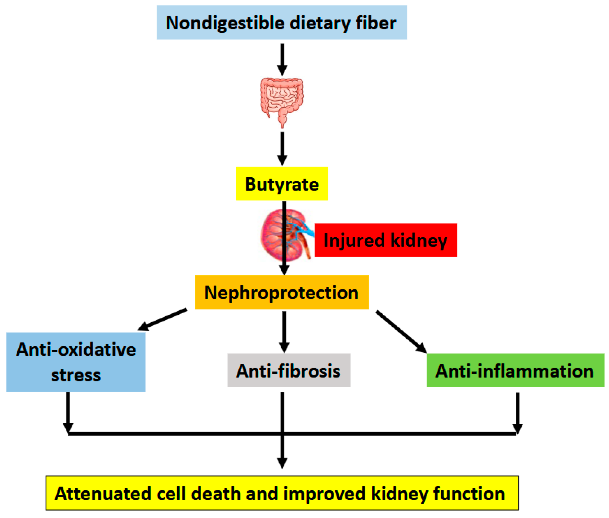 Nutrients 17 00772 g003