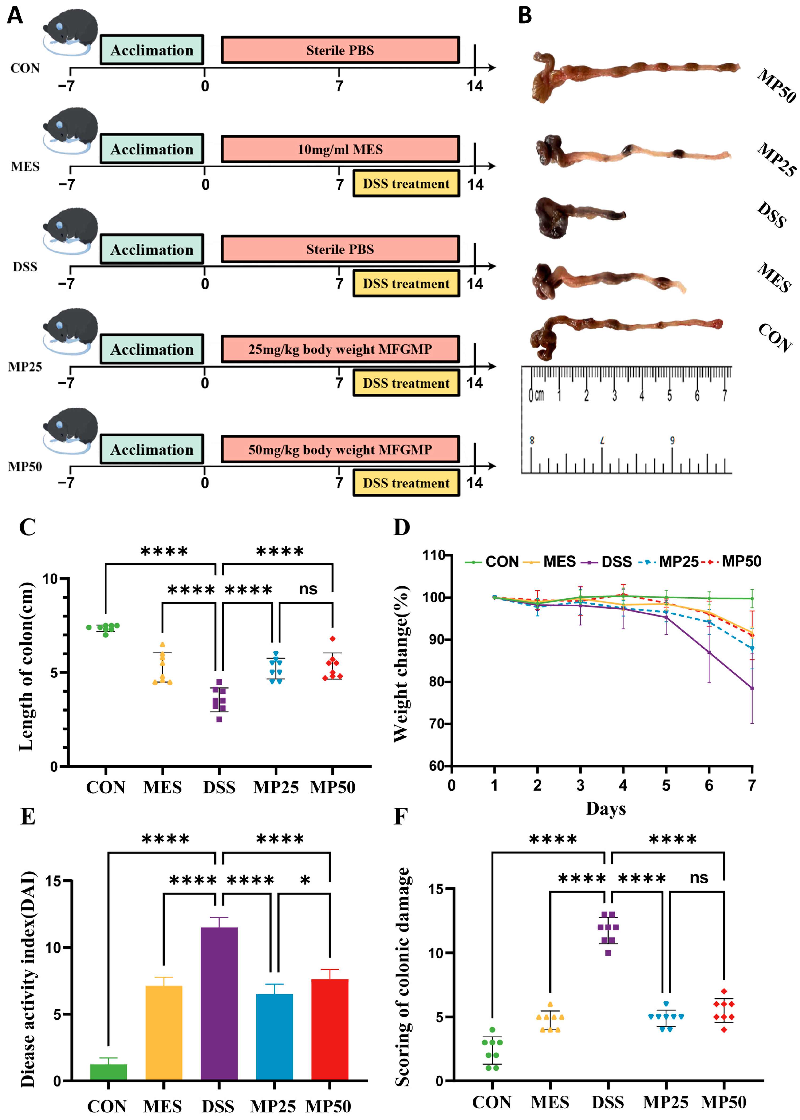 Nutrients 17 00780 g001