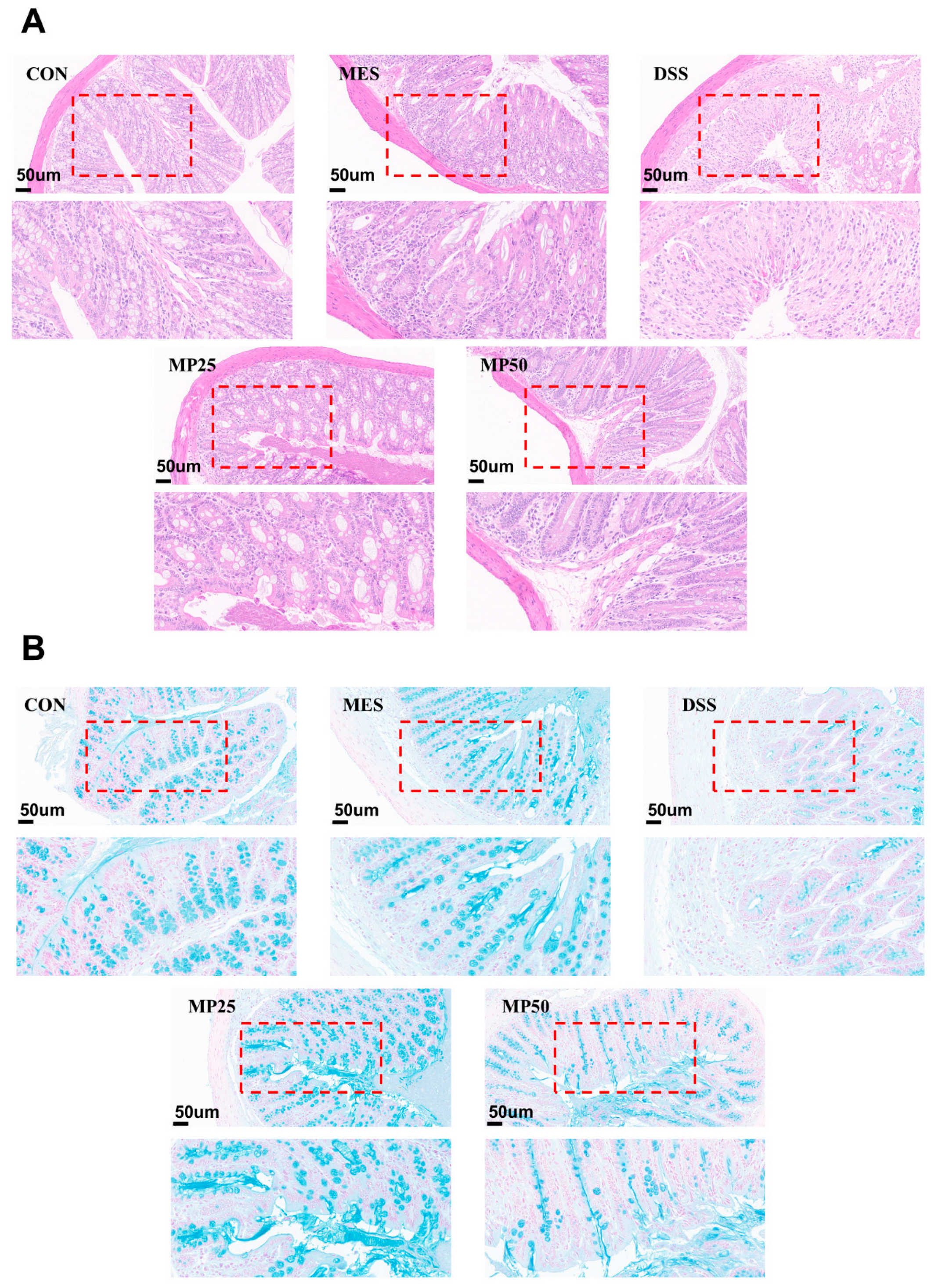 Nutrients 17 00780 g002