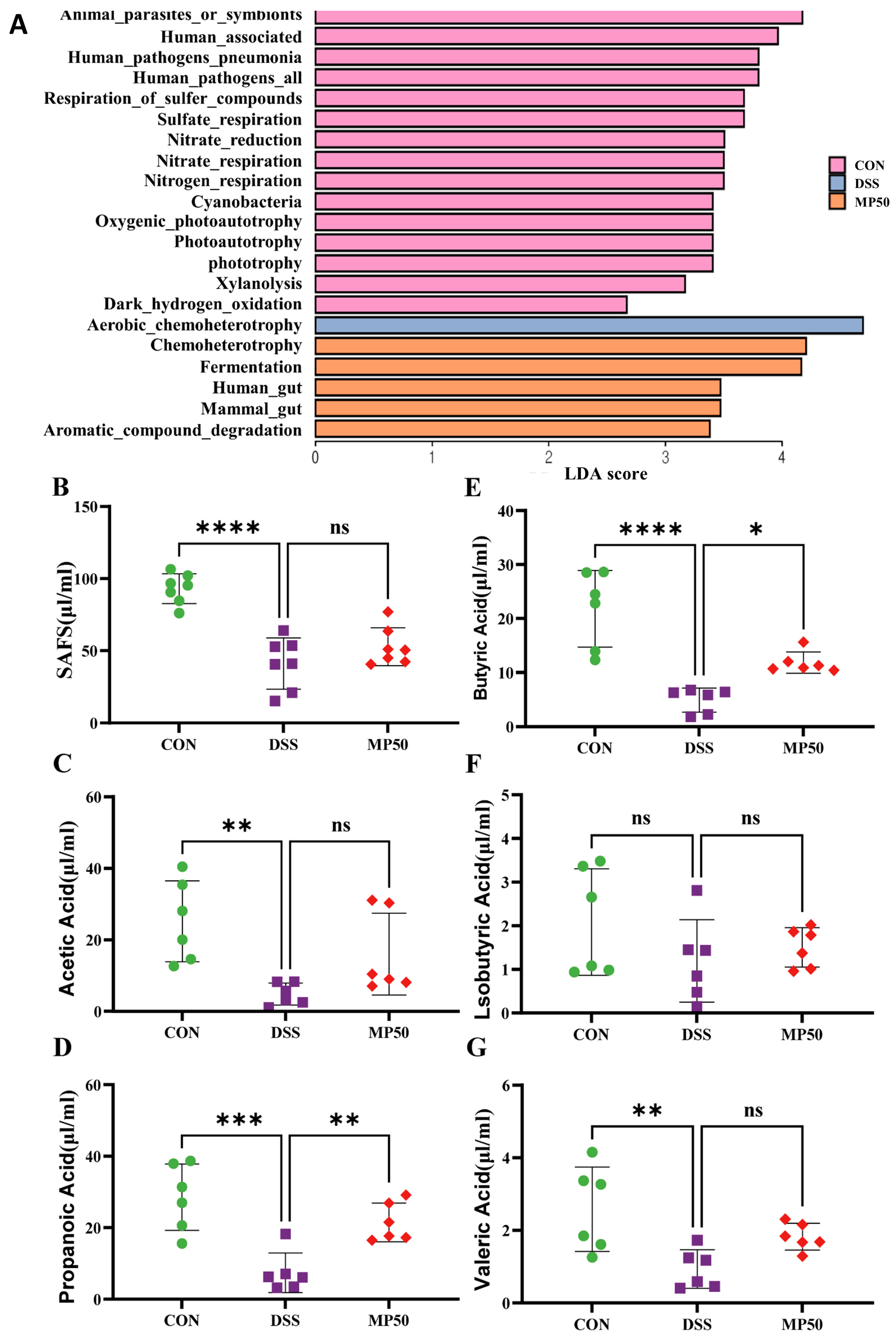 Nutrients 17 00780 g005