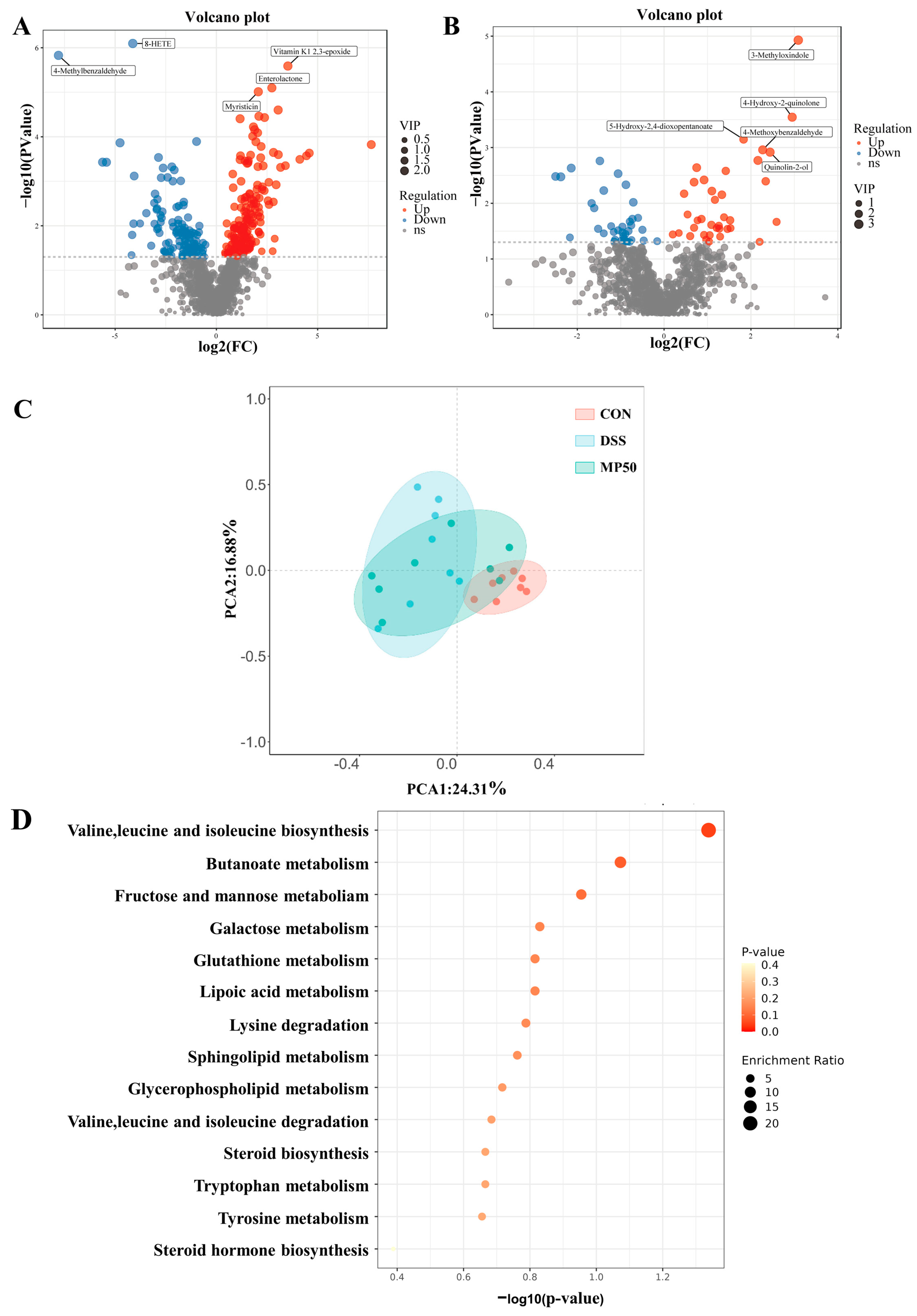 Nutrients 17 00780 g006