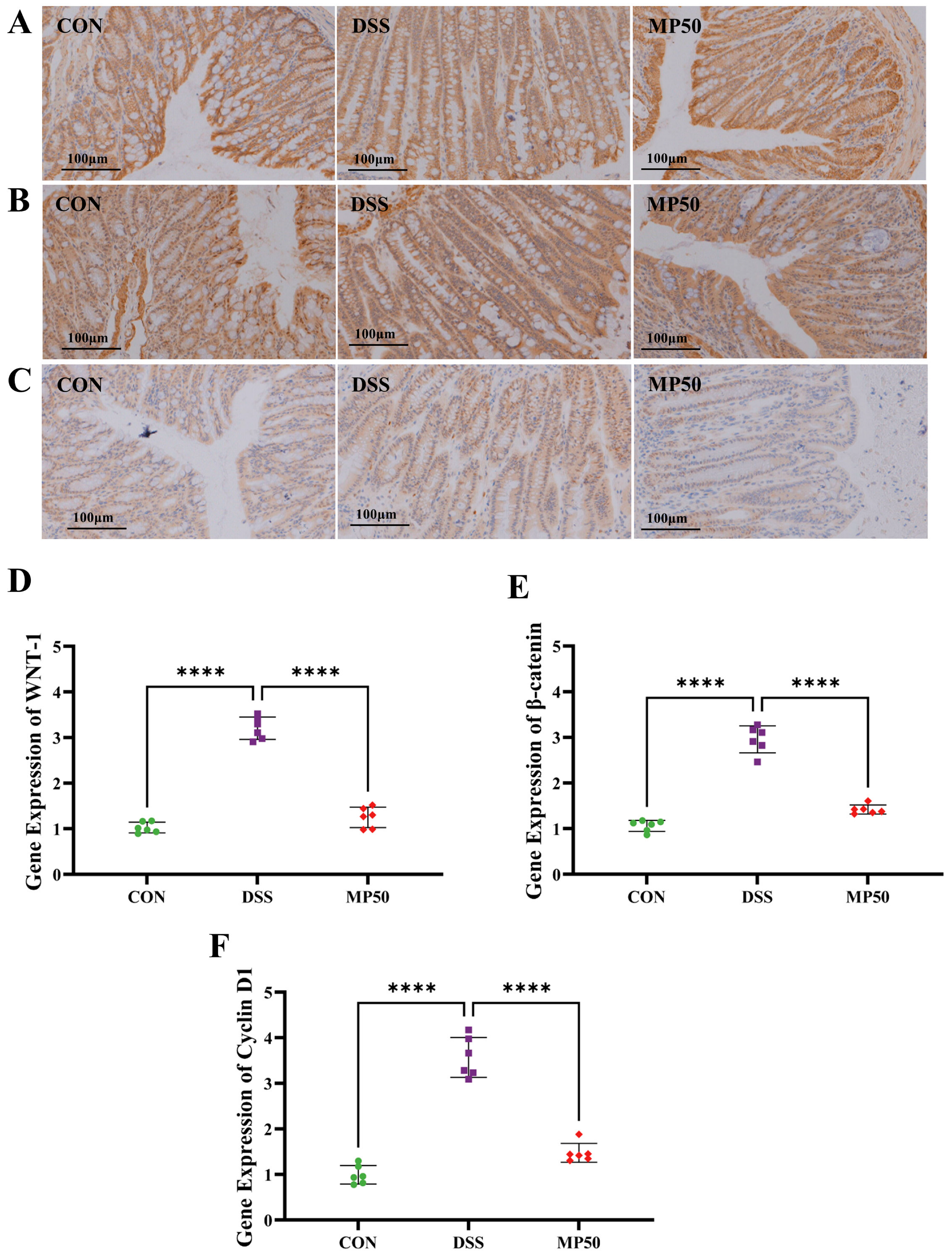 Nutrients 17 00780 g008