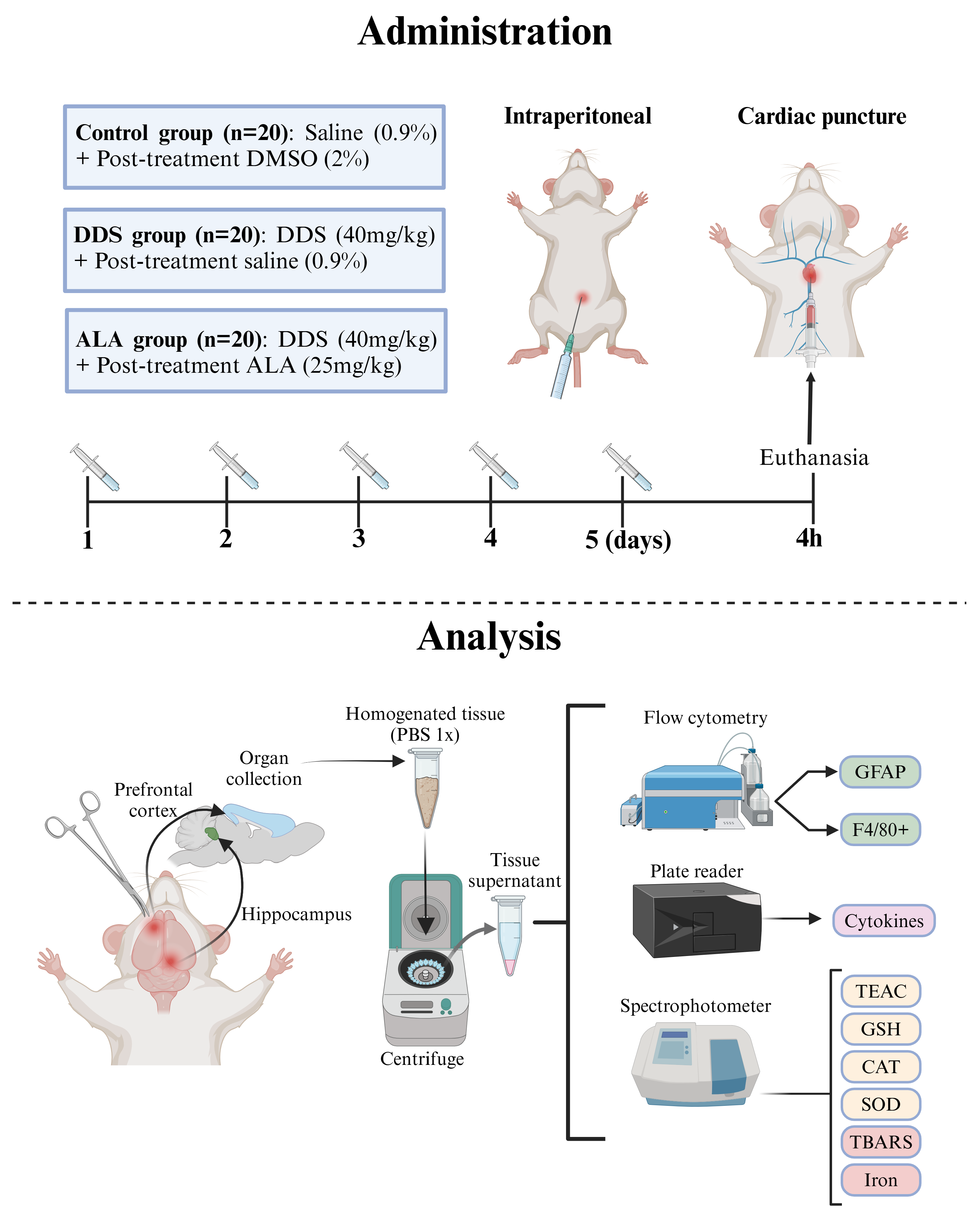 Nutrients 17 00791 g001 Nutrients 17 00791 g001