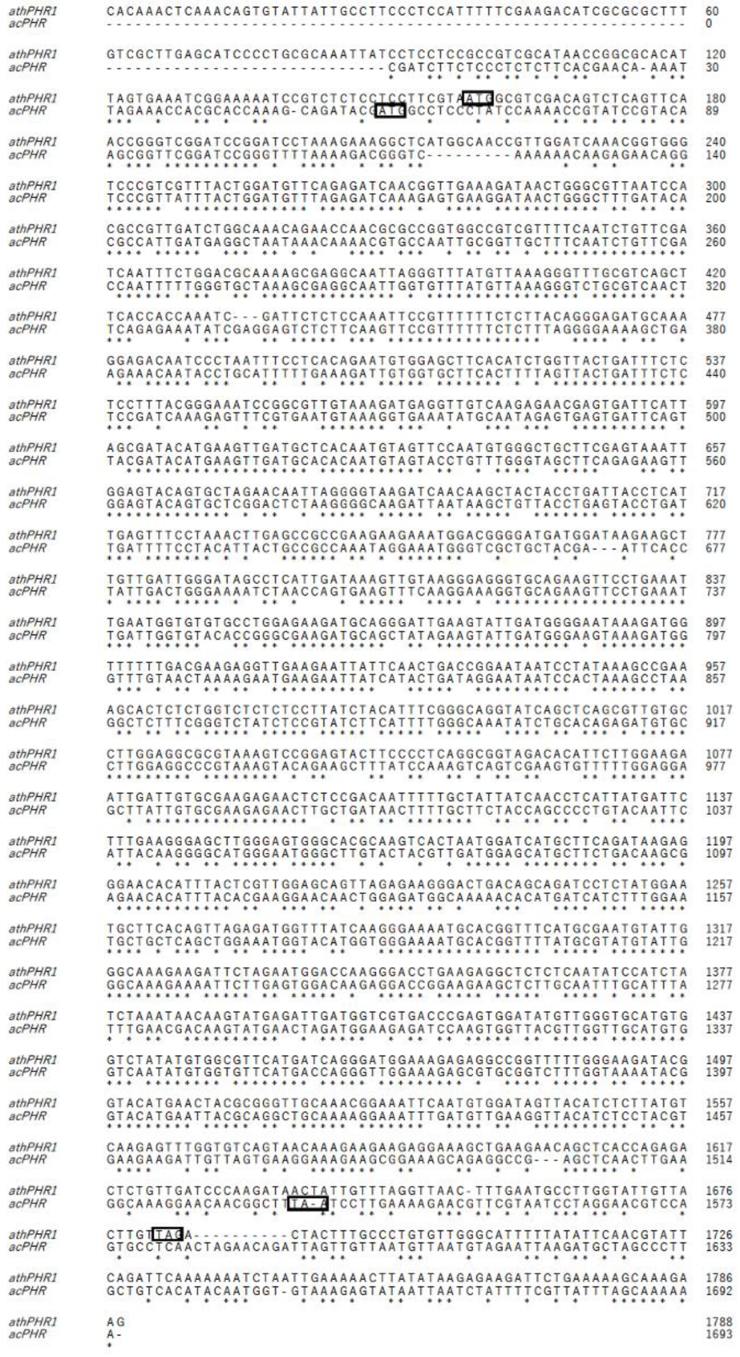 Nutrients 17 00792 g001