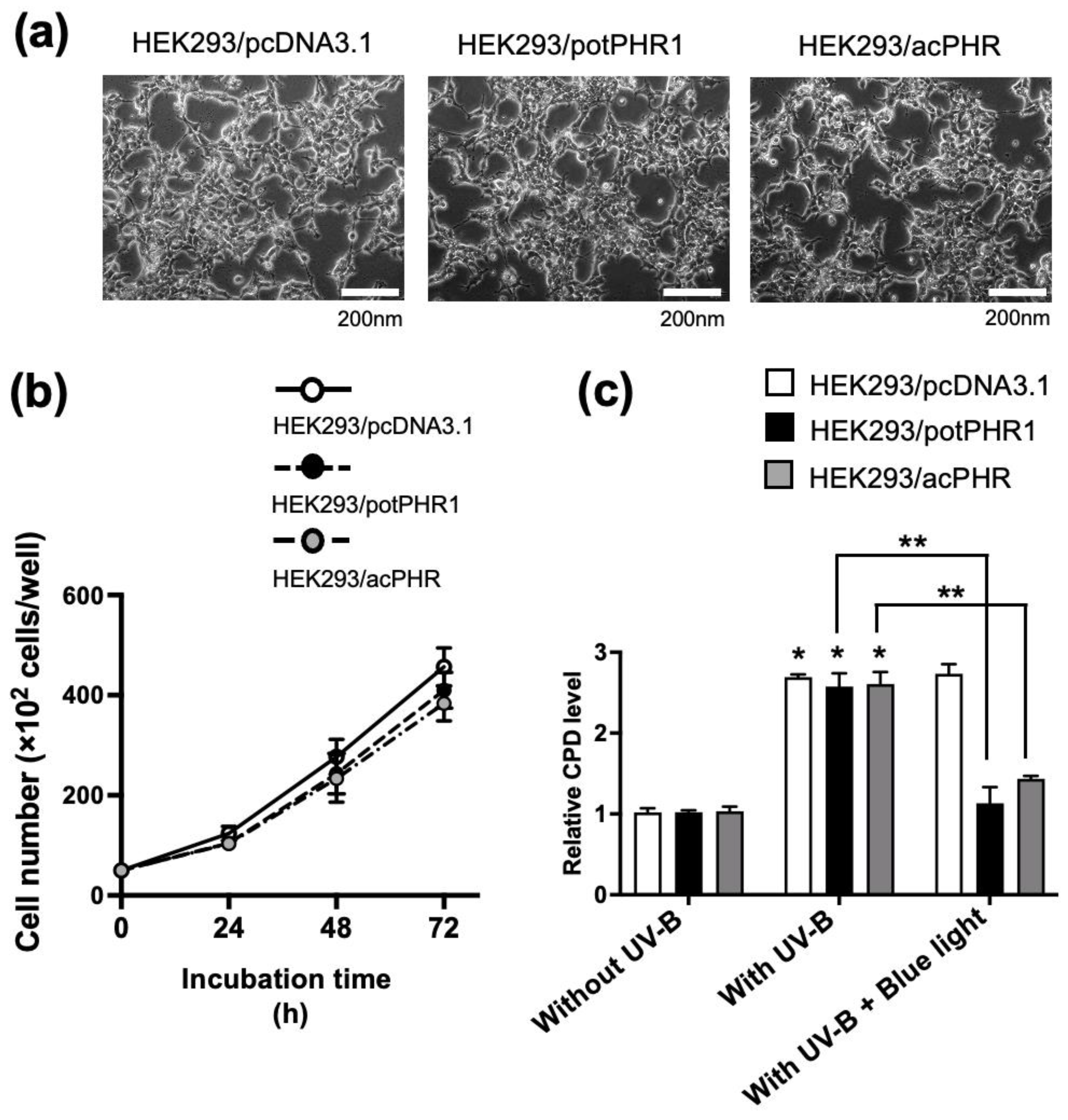 Nutrients 17 00792 g003