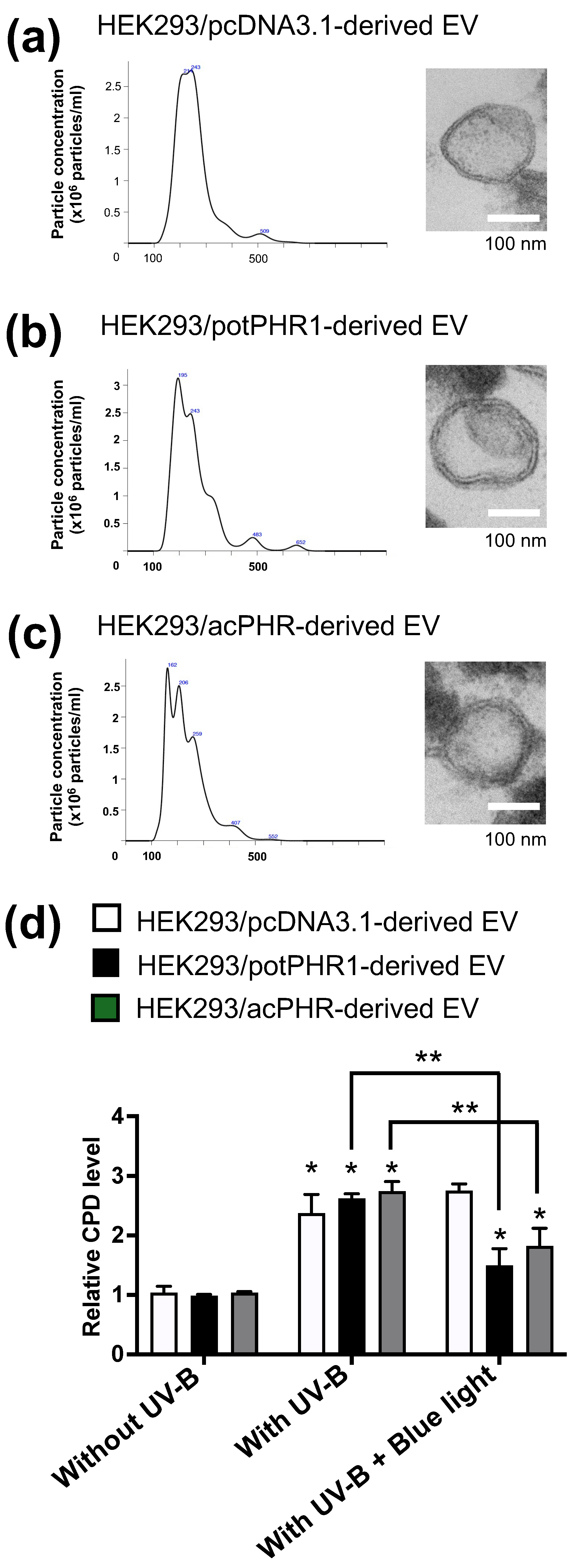 Nutrients 17 00792 g004