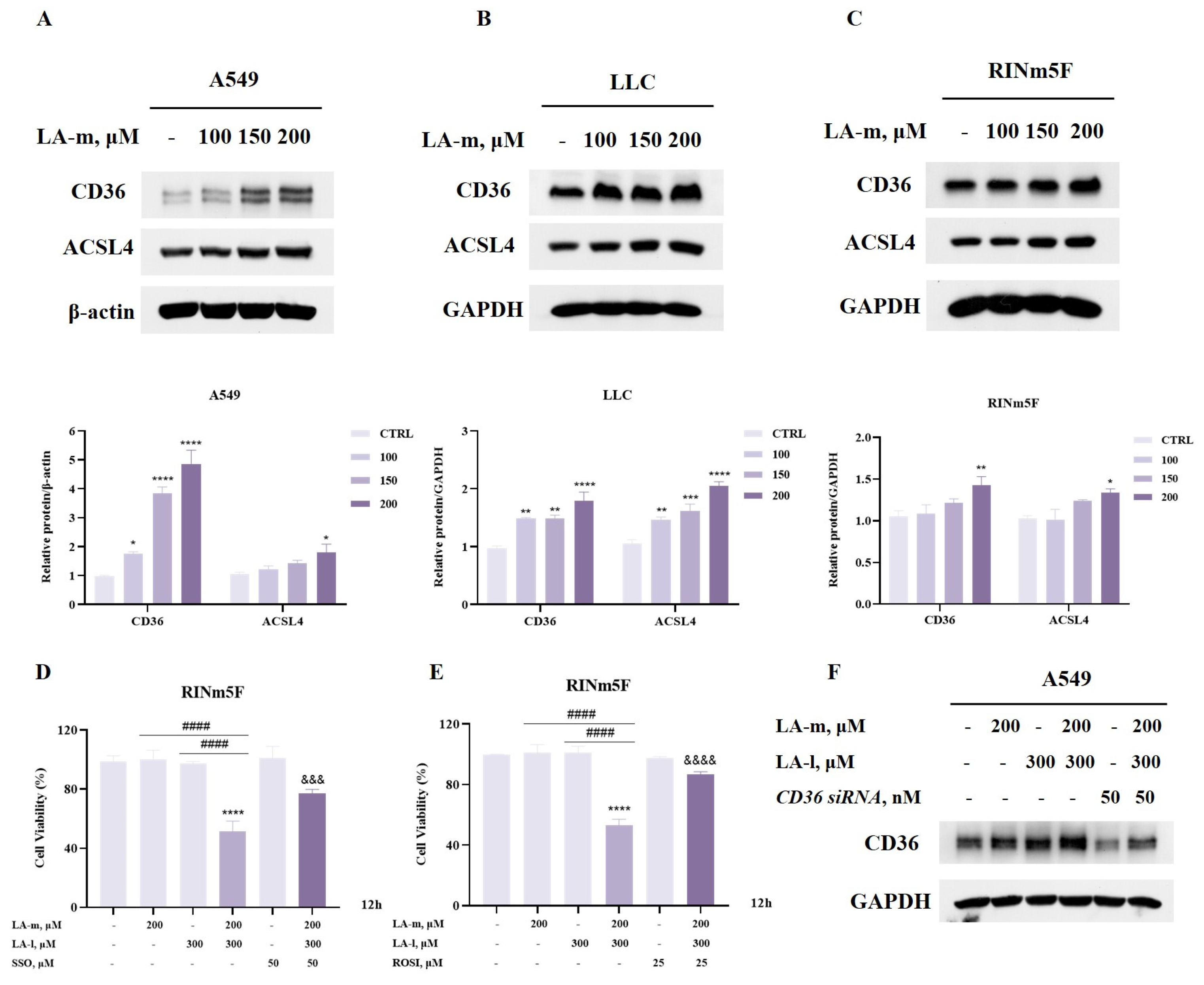 Nutrients 17 00794 g004