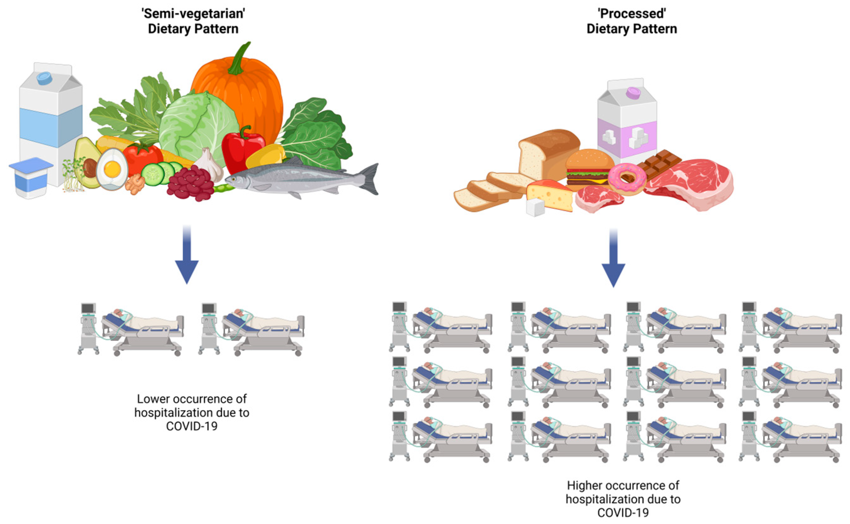 Nutrients 17 00800 g002