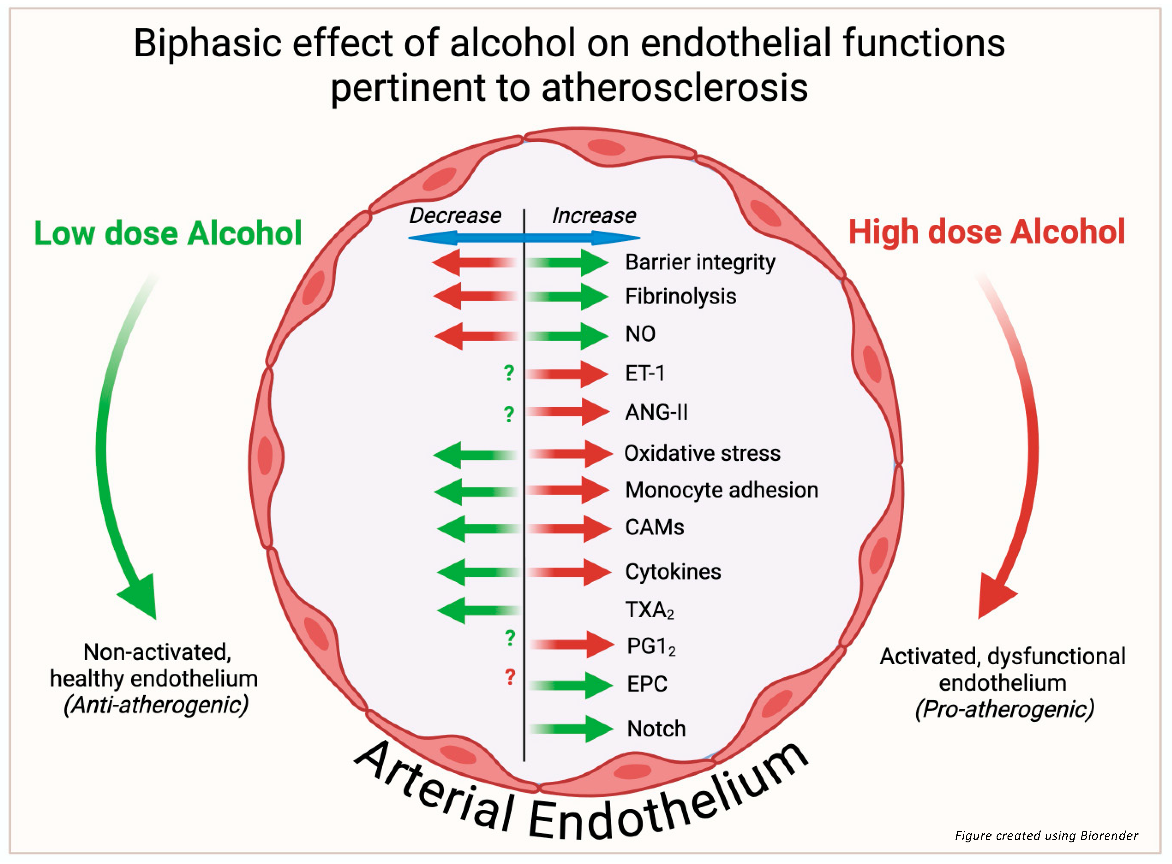 Nutrients 17 00802 g002 Nutrients 17 00802 g002
