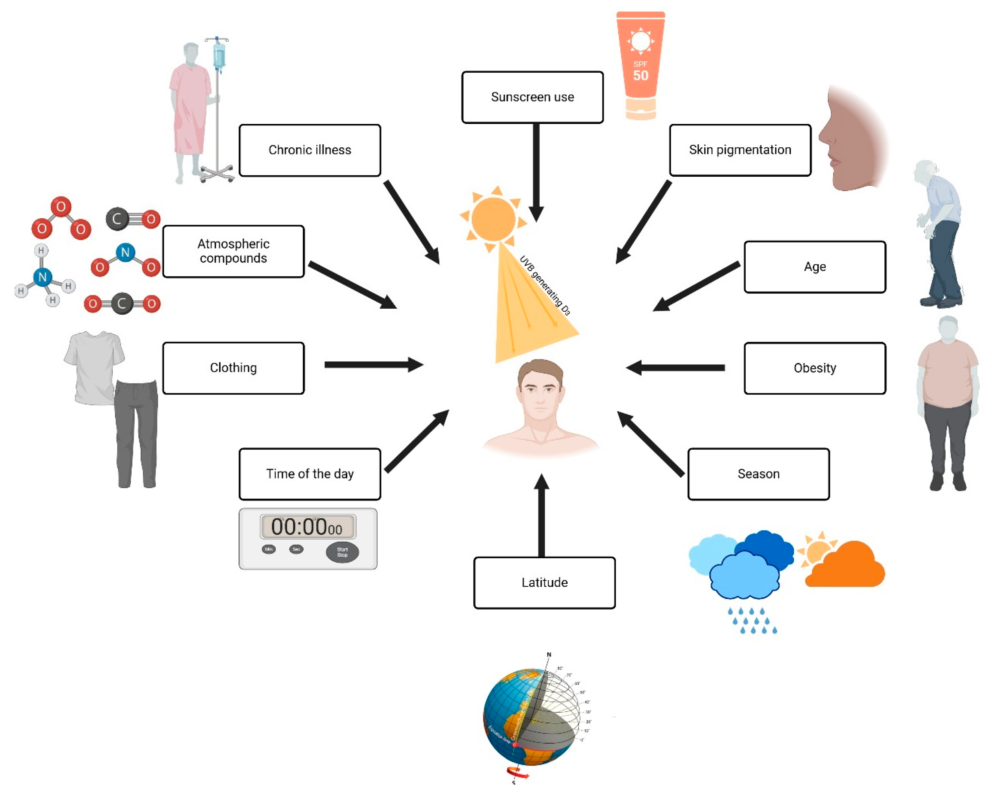 Nutrients 17 00803 g003
