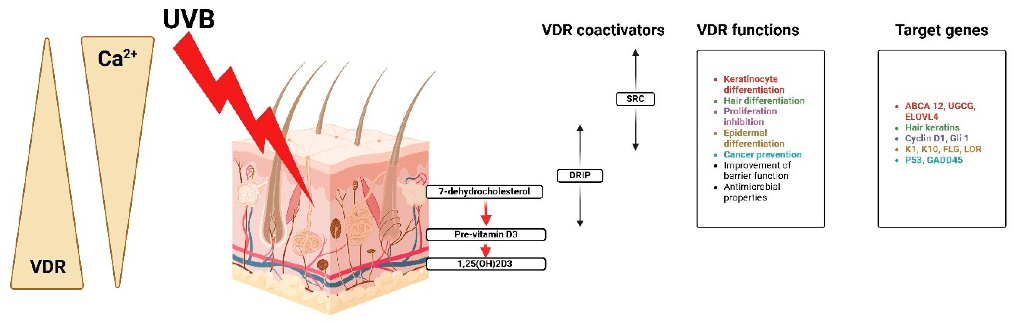 Nutrients 17 00803 g005