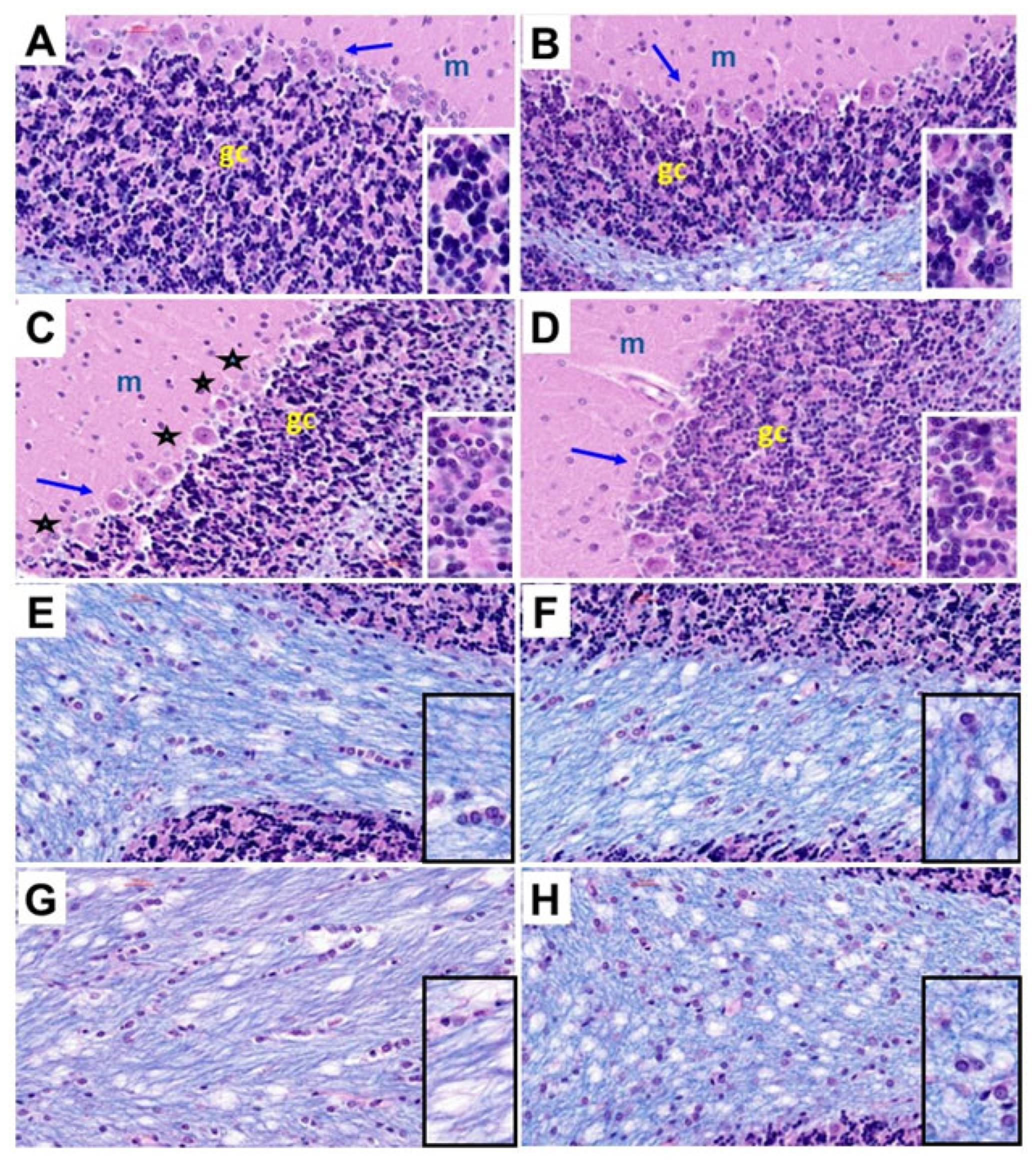 Nutrients 17 00812 g003