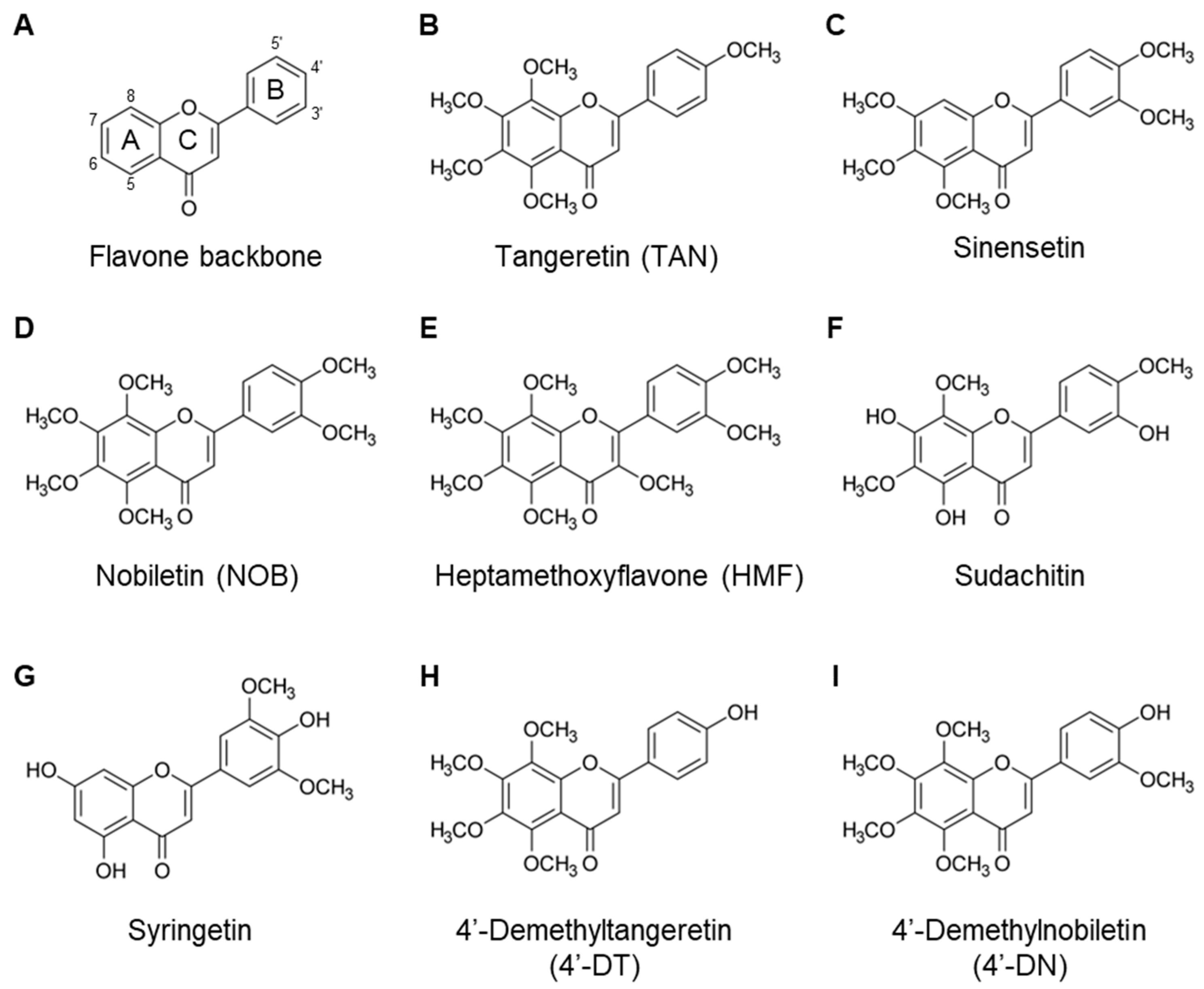 Nutrients 17 00822 g001