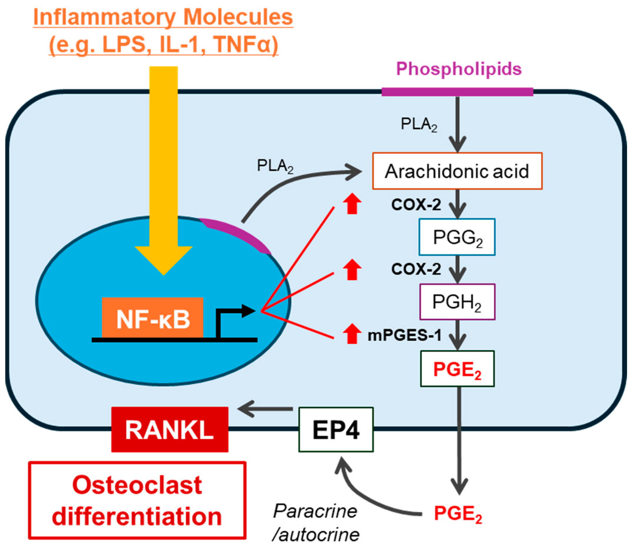 Nutrients 17 00822 g002
