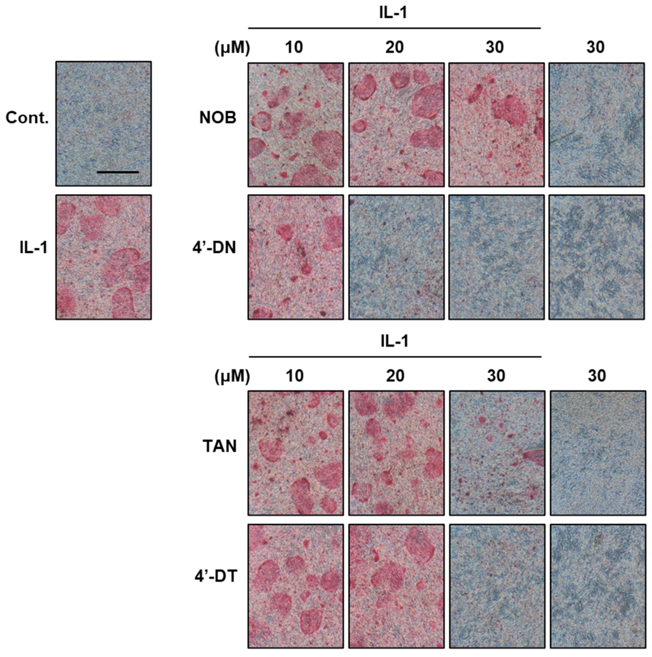 Nutrients 17 00822 g003