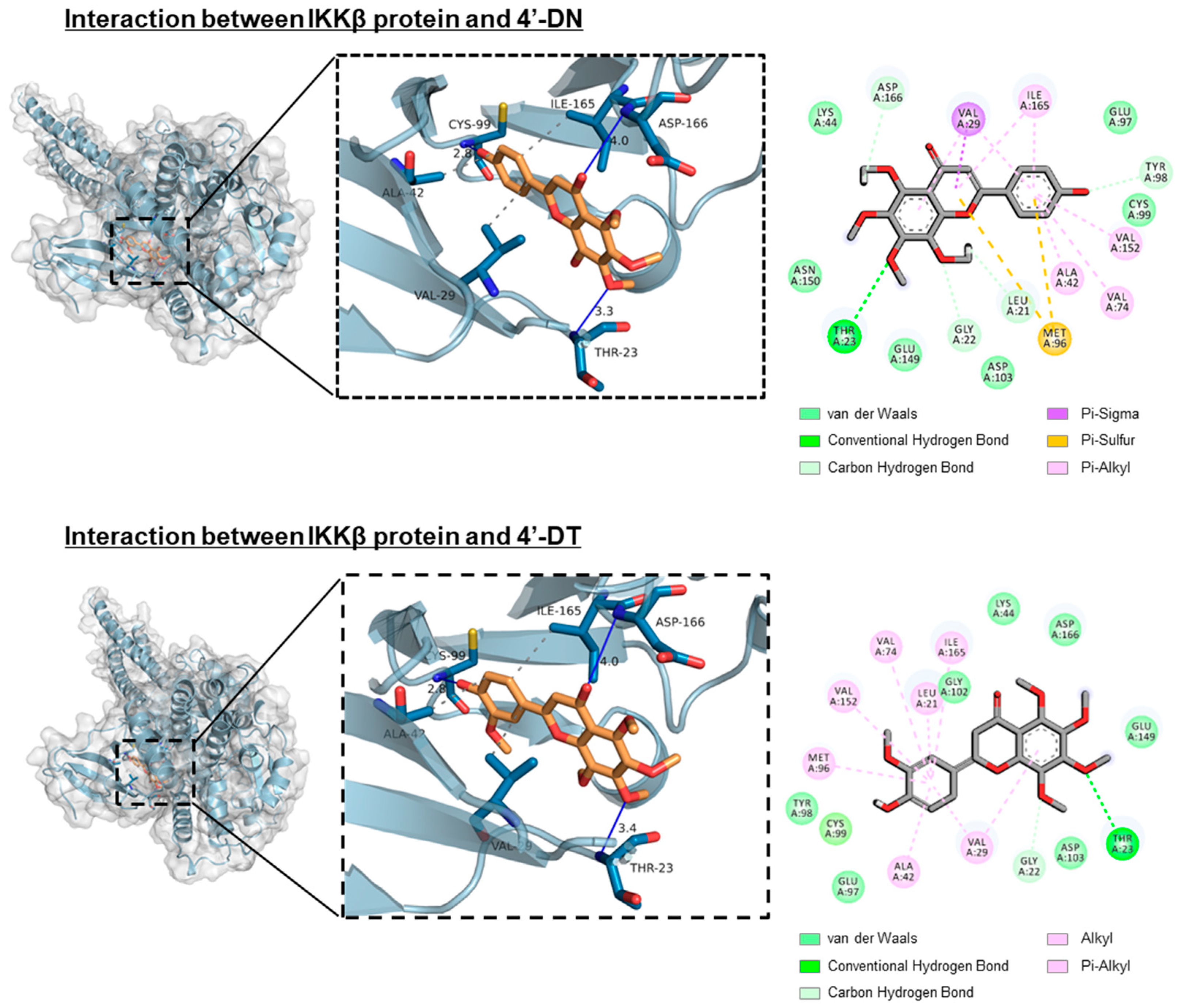 Nutrients 17 00822 g004