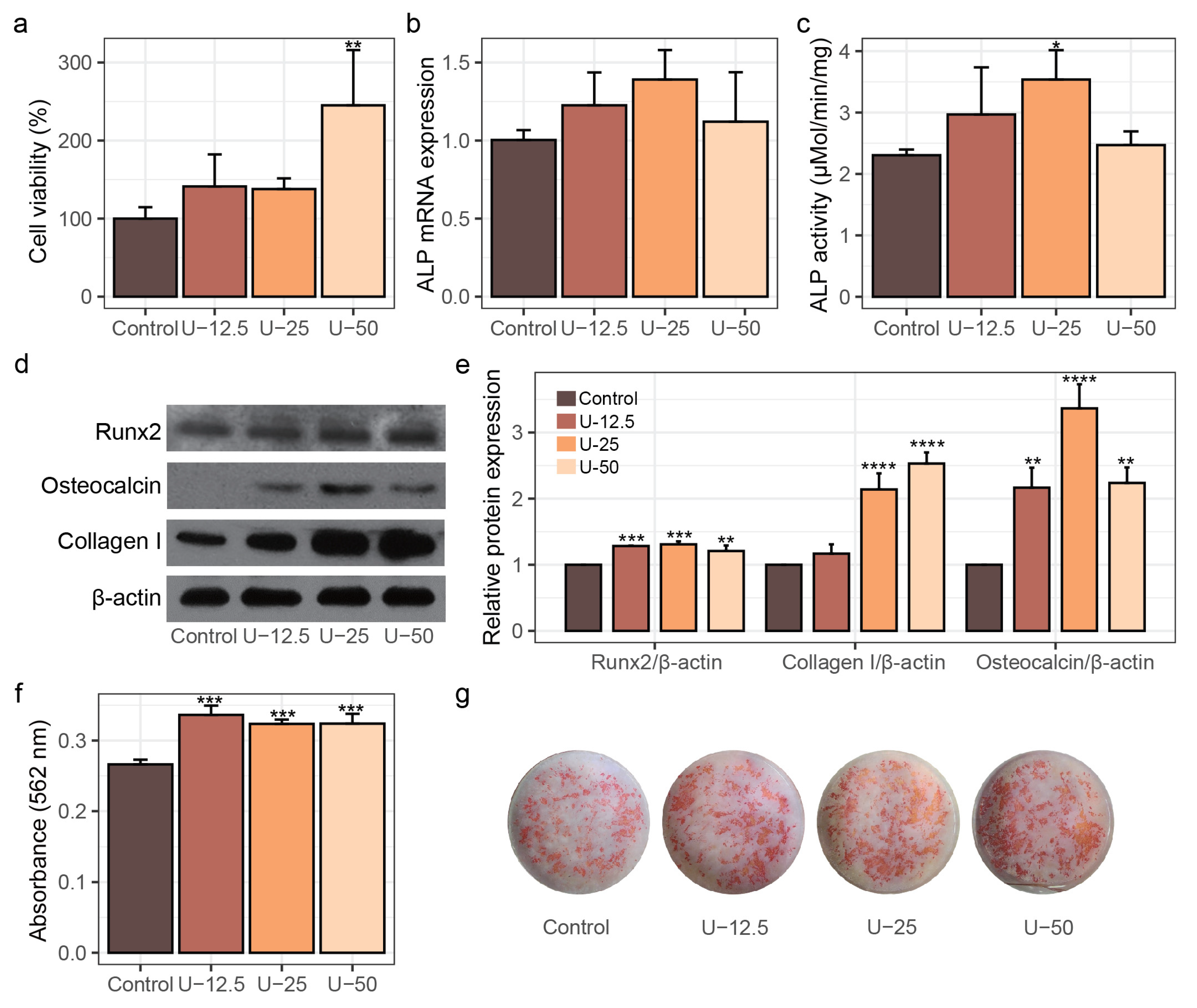 Nutrients 17 00824 g001 Nutrients 17 00824 g001