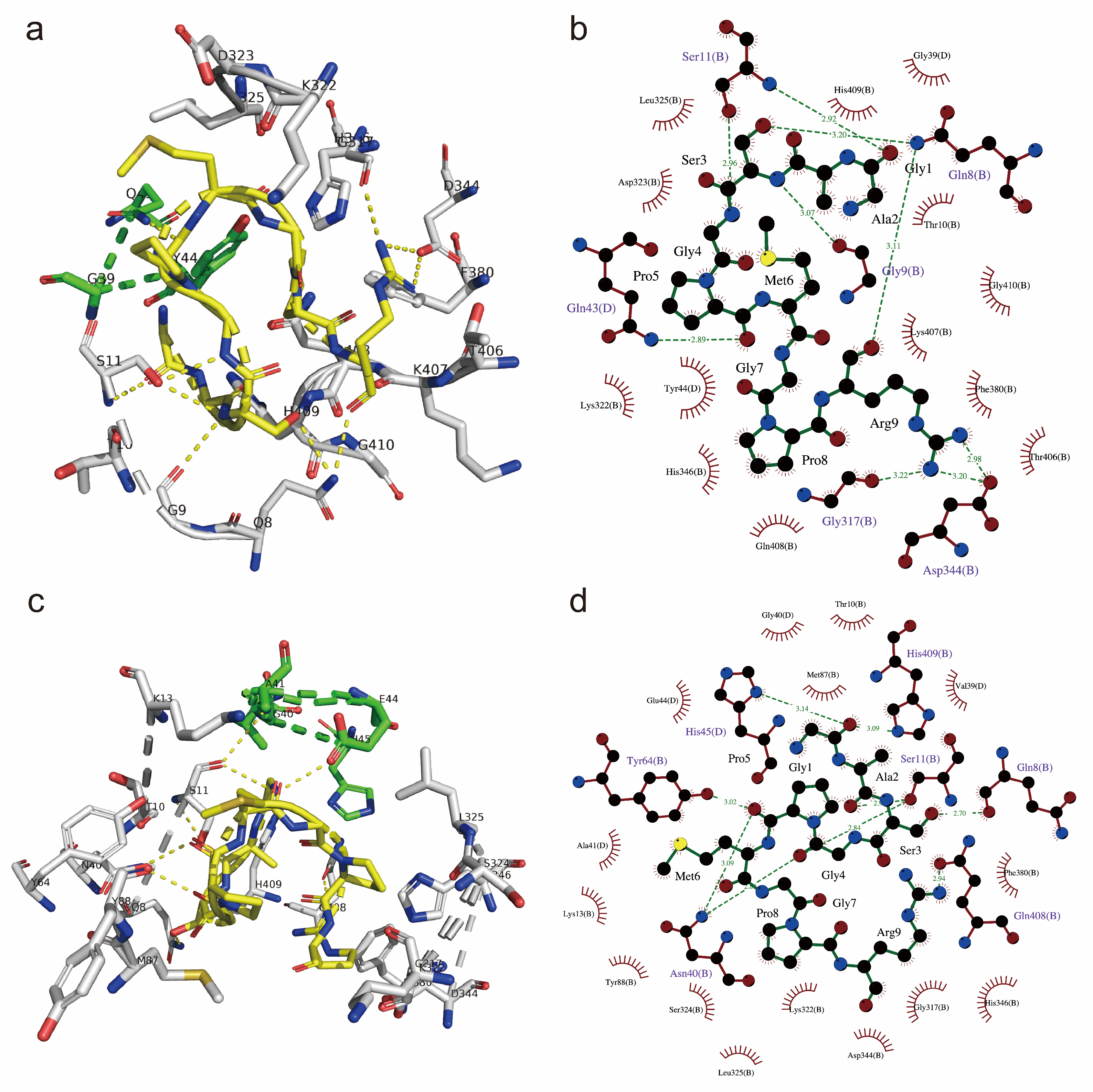 Nutrients 17 00824 g004 Nutrients 17 00824 g004