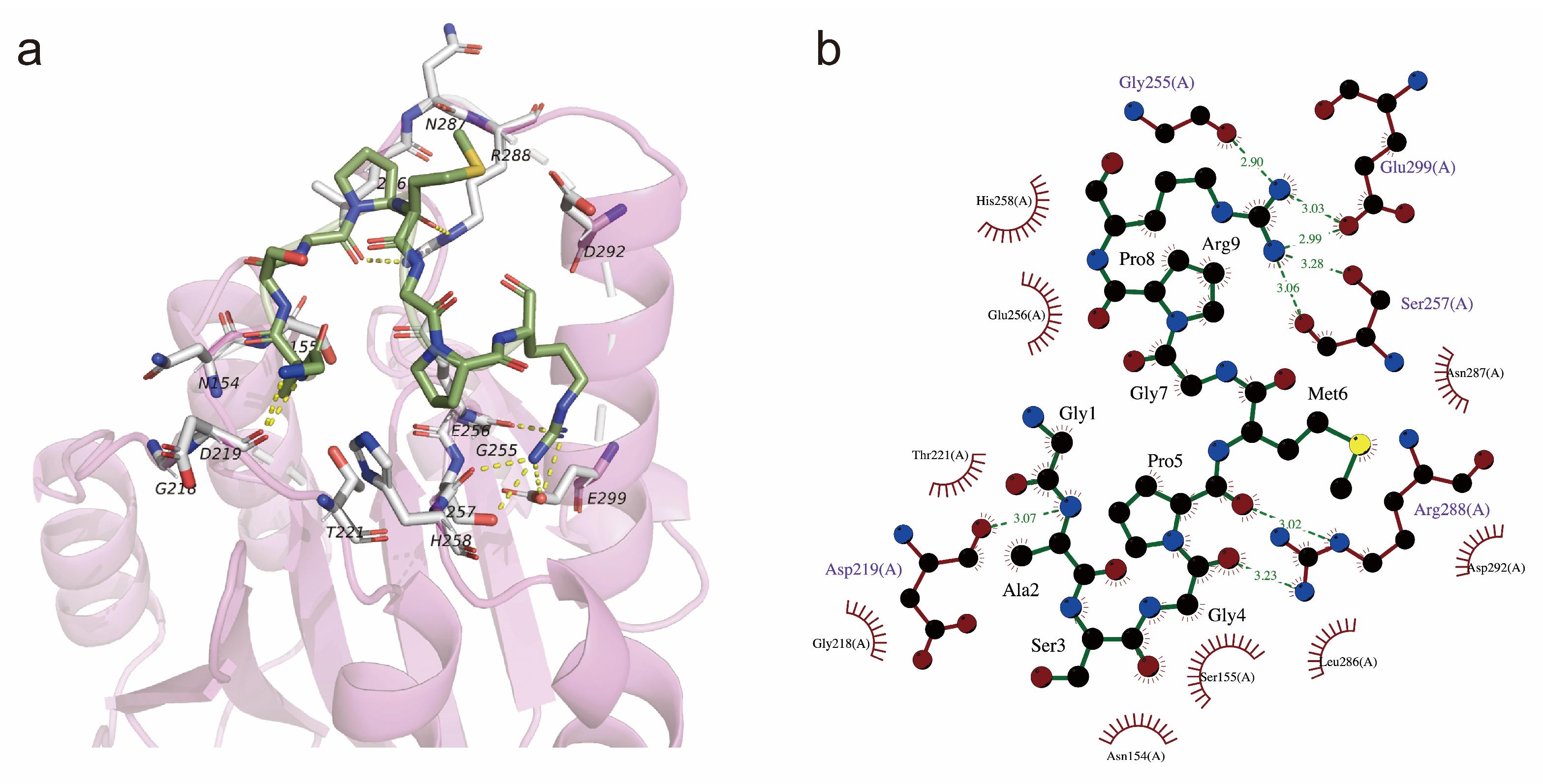 Nutrients 17 00824 g005 Nutrients 17 00824 g005