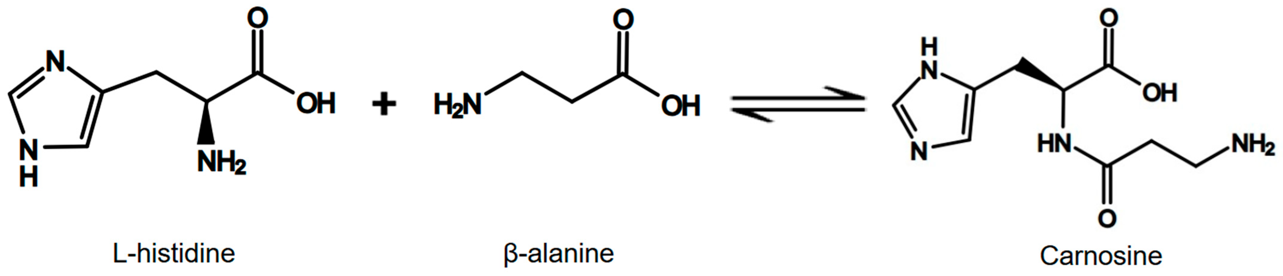 Nutrients 17 00828 g001 Nutrients 17 00828 g001