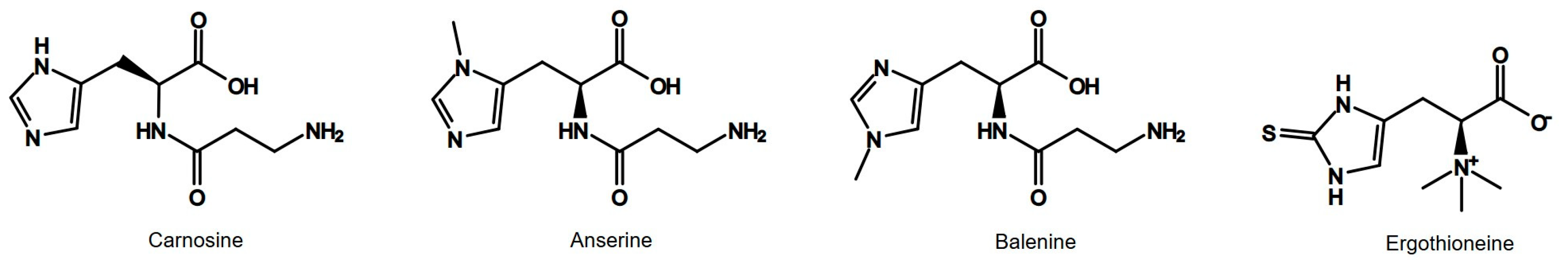 Nutrients 17 00828 g002 Nutrients 17 00828 g002