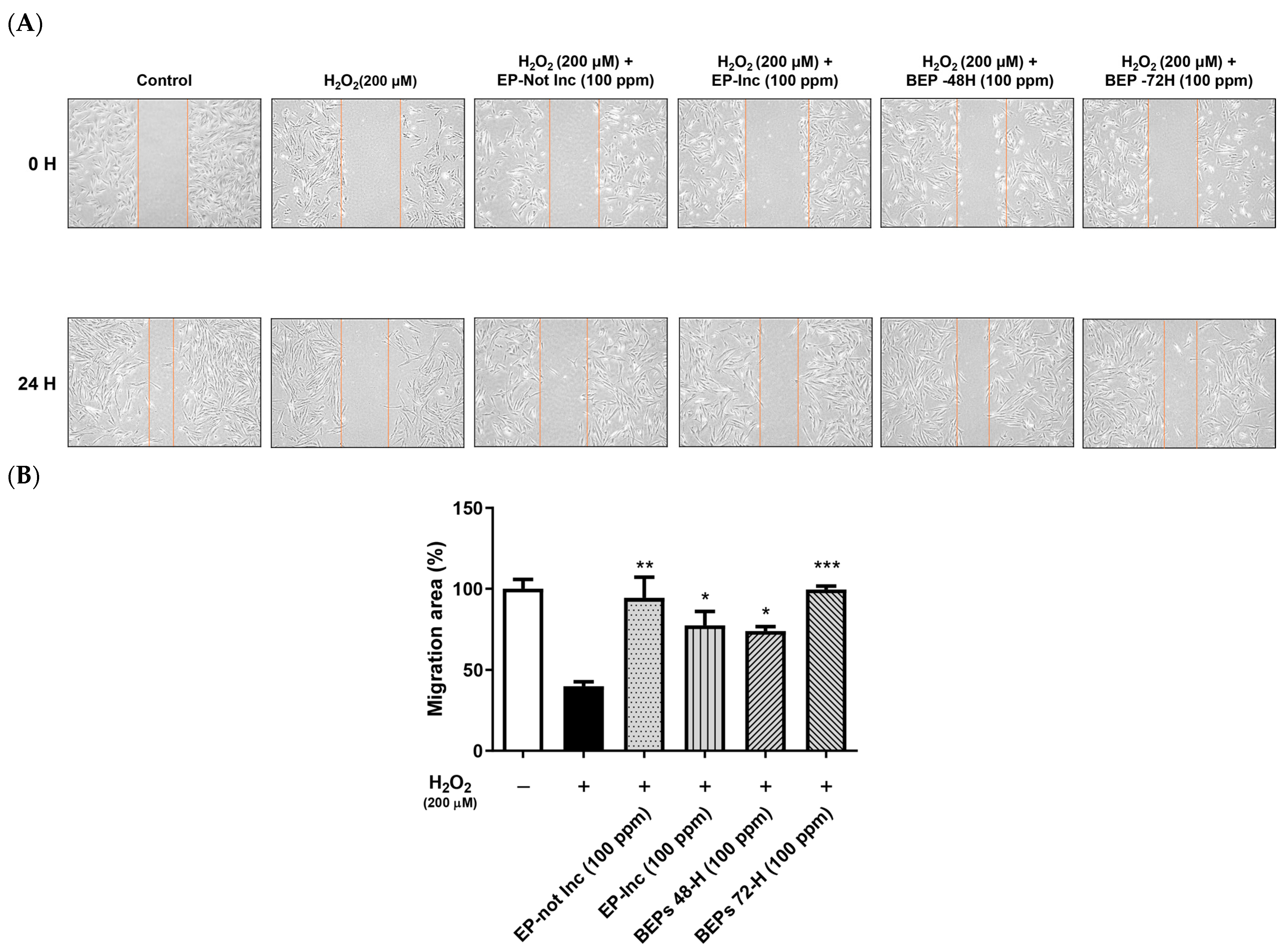 Nutrients 17 00847 g002